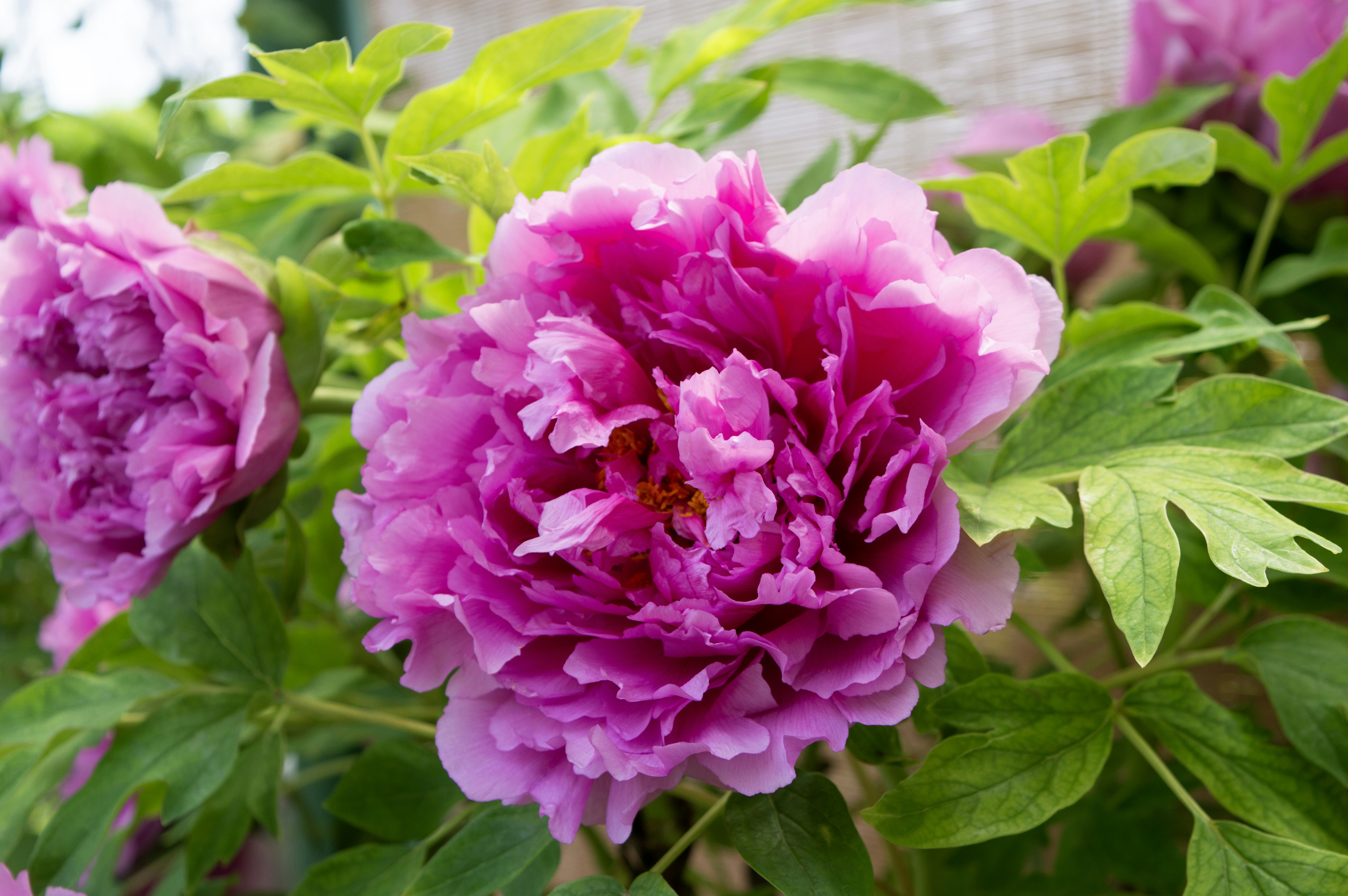 Photo by xiakuangkuang