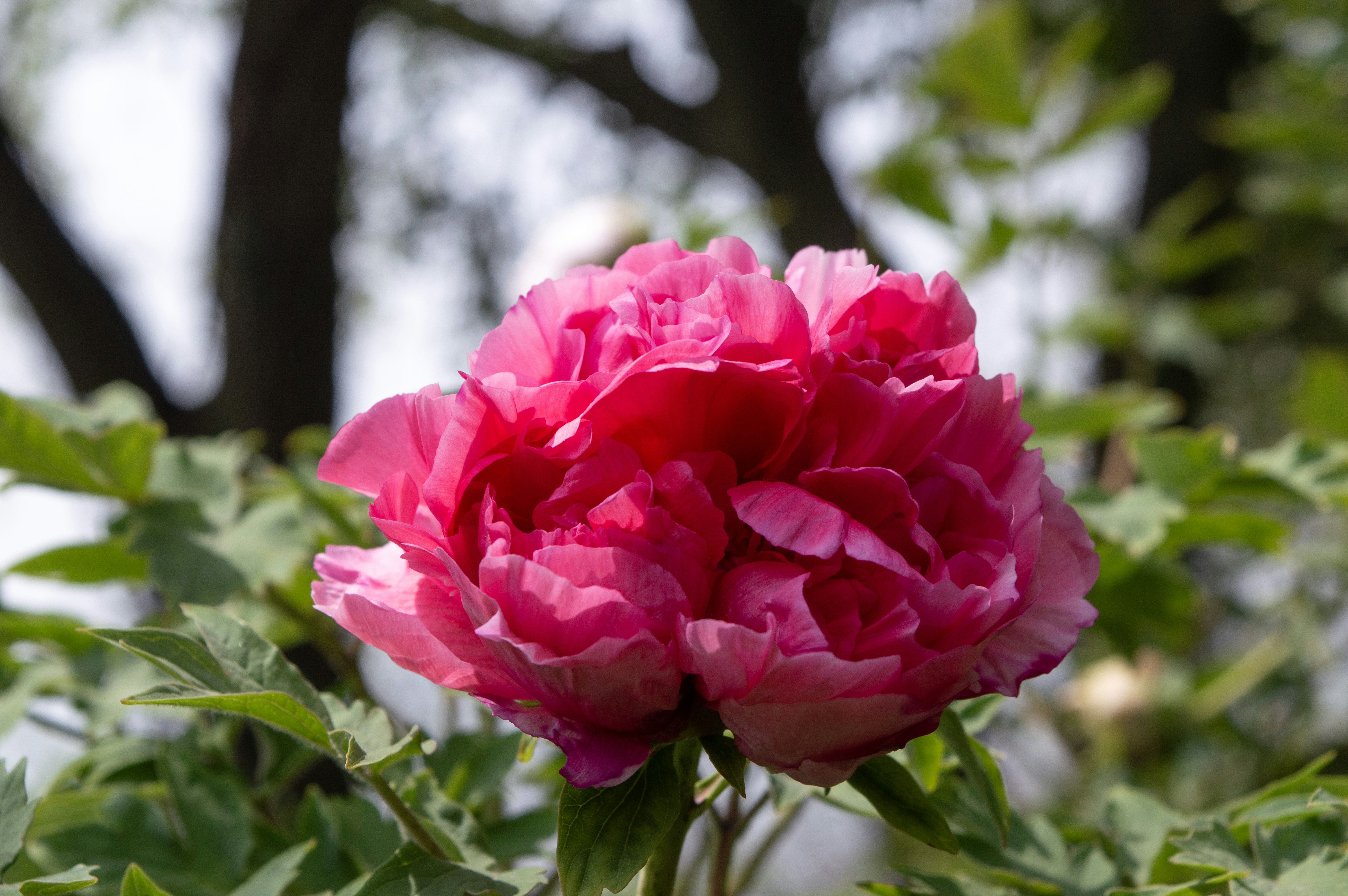 Photo by xiakuangkuang