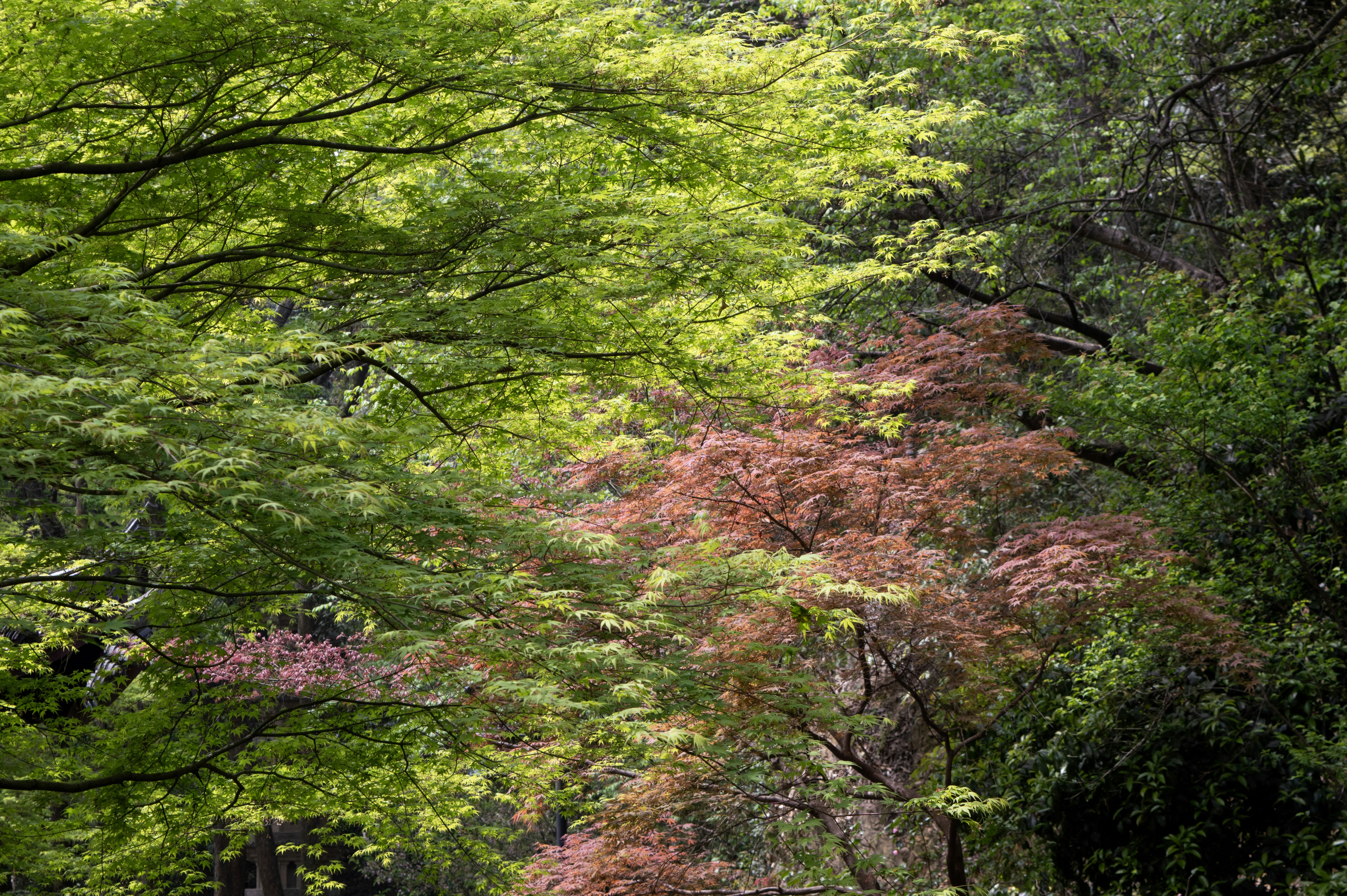 Photo by xiakuangkuang