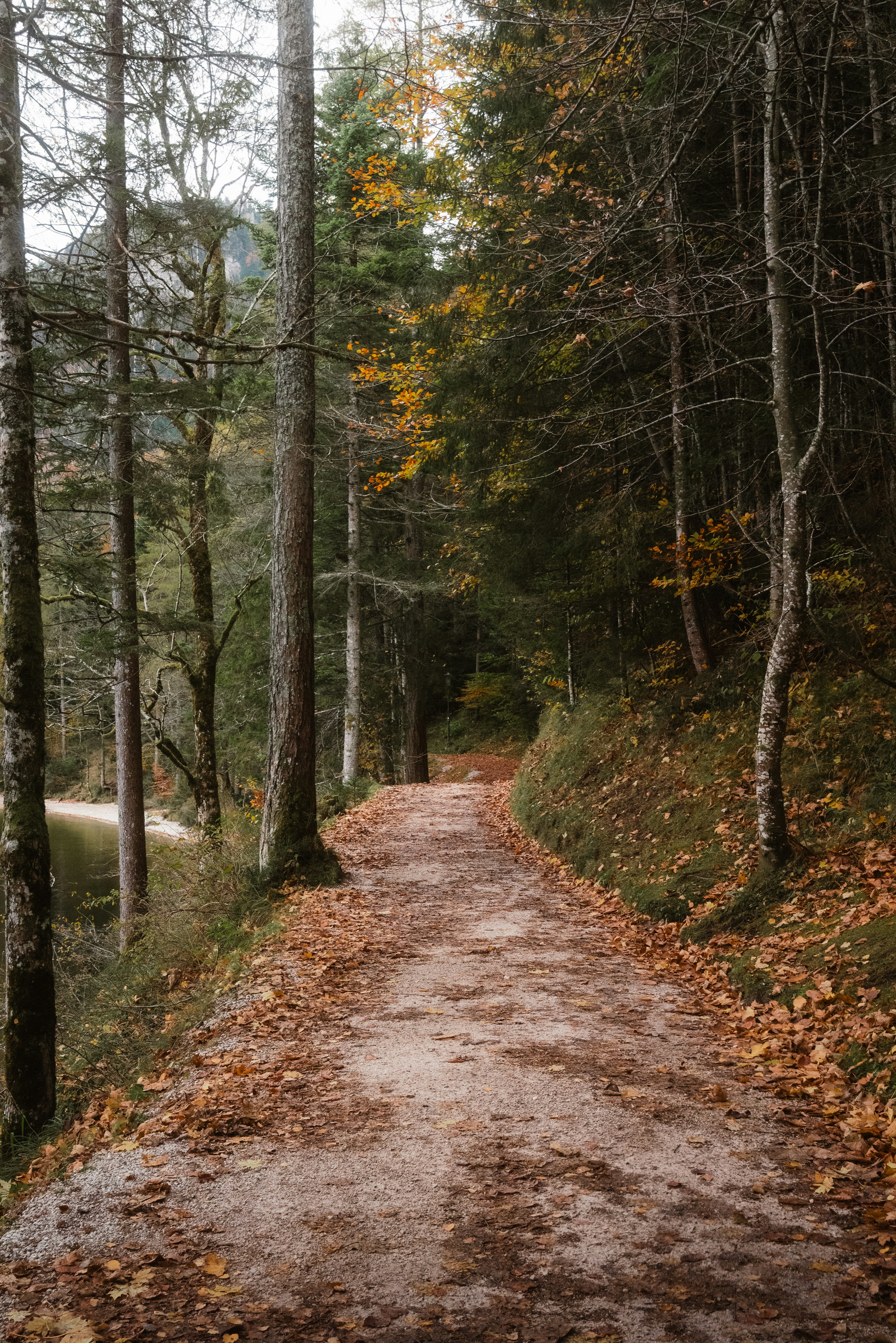 Photo by ahmetyuksek