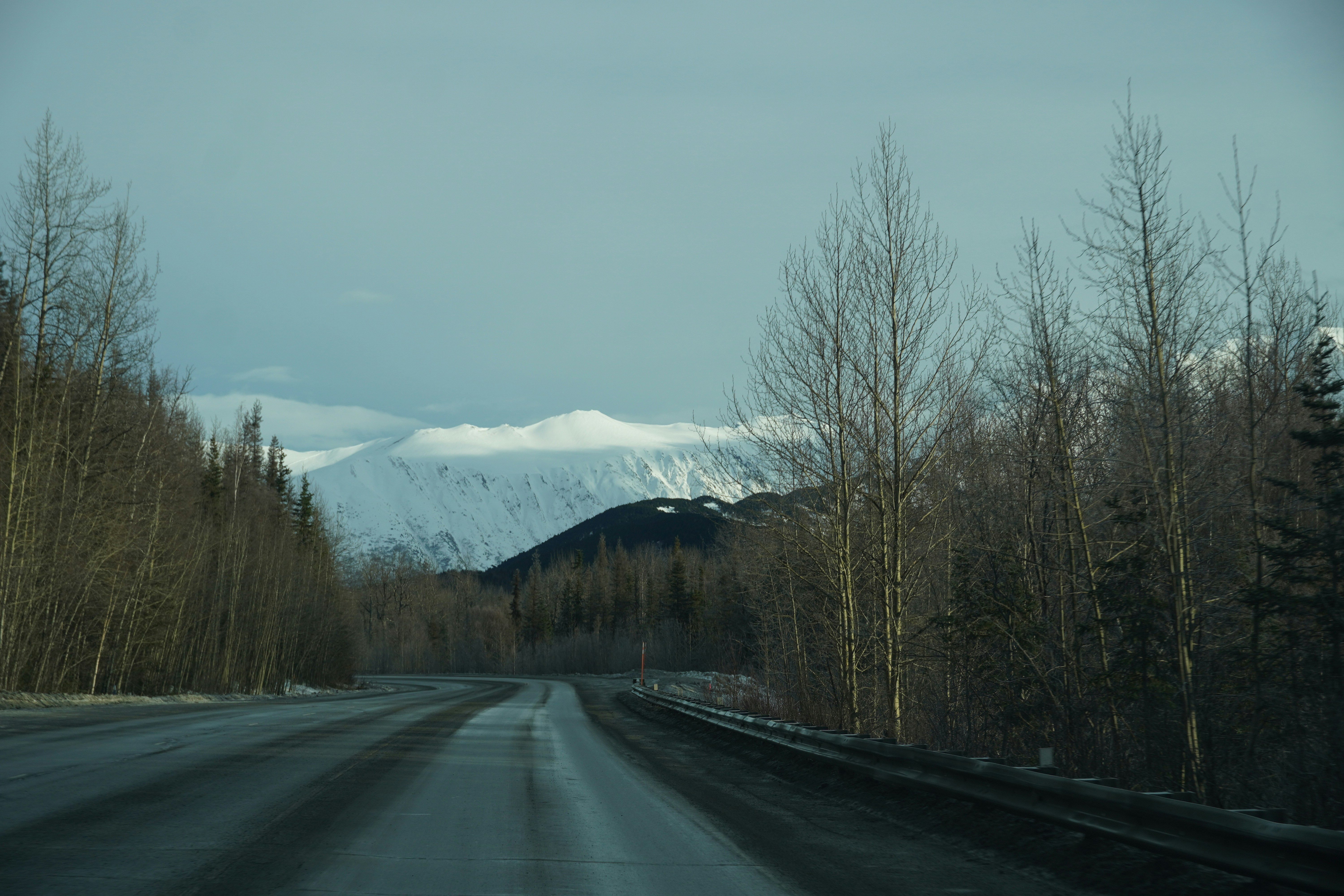 A paved road curves through a forest towards snowy mountains.