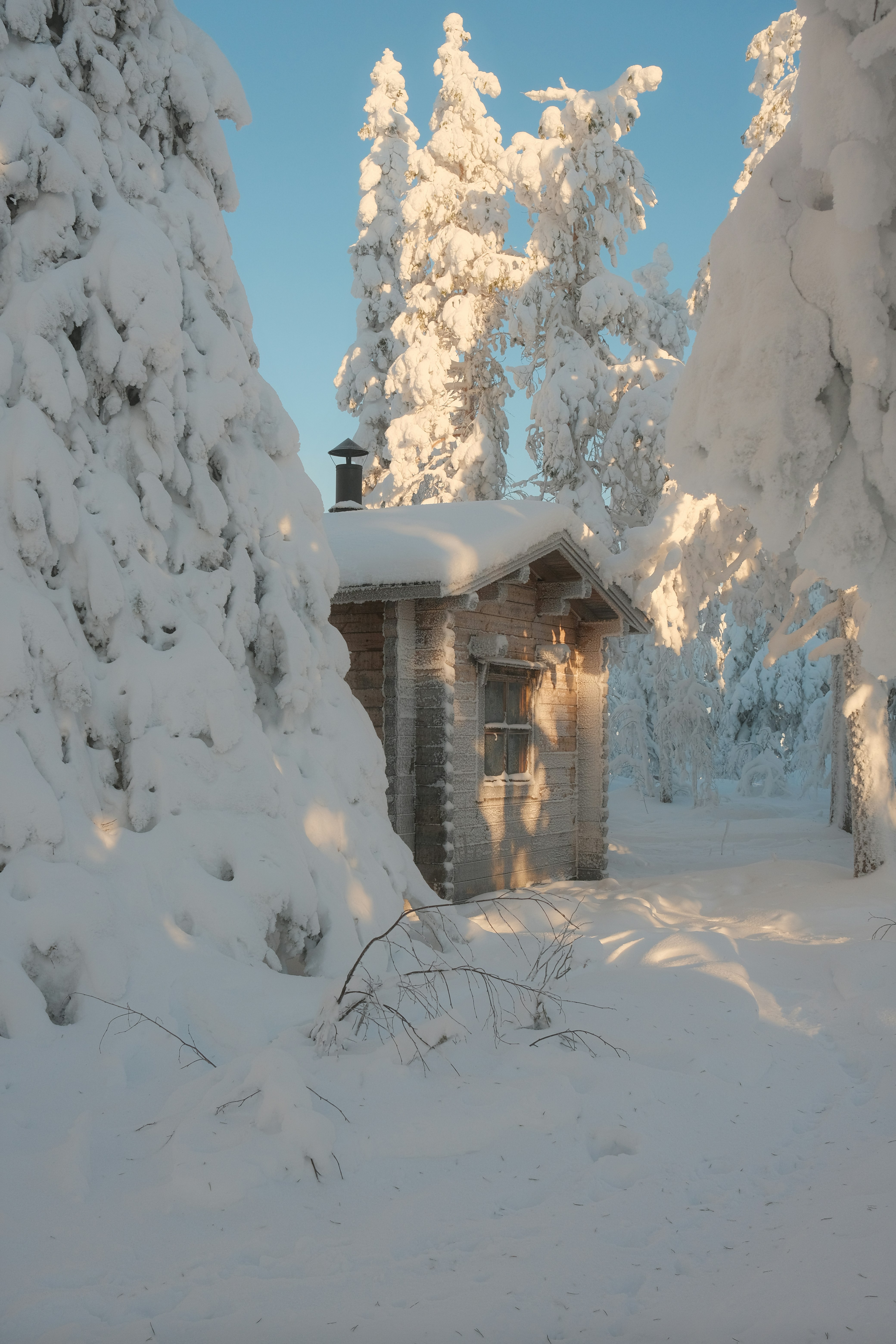 Small wooden cabin nestled in a snowy forest.