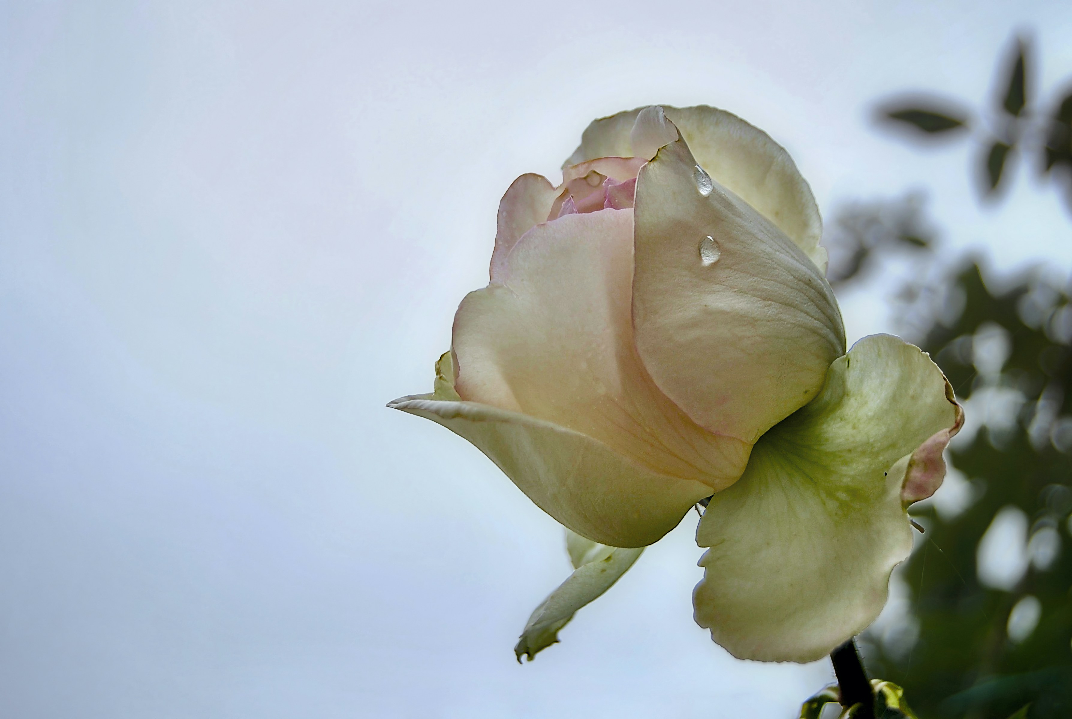 Photo by mariobeducci