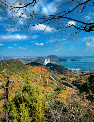 Autumn trees overlook a bay with a distant bridge