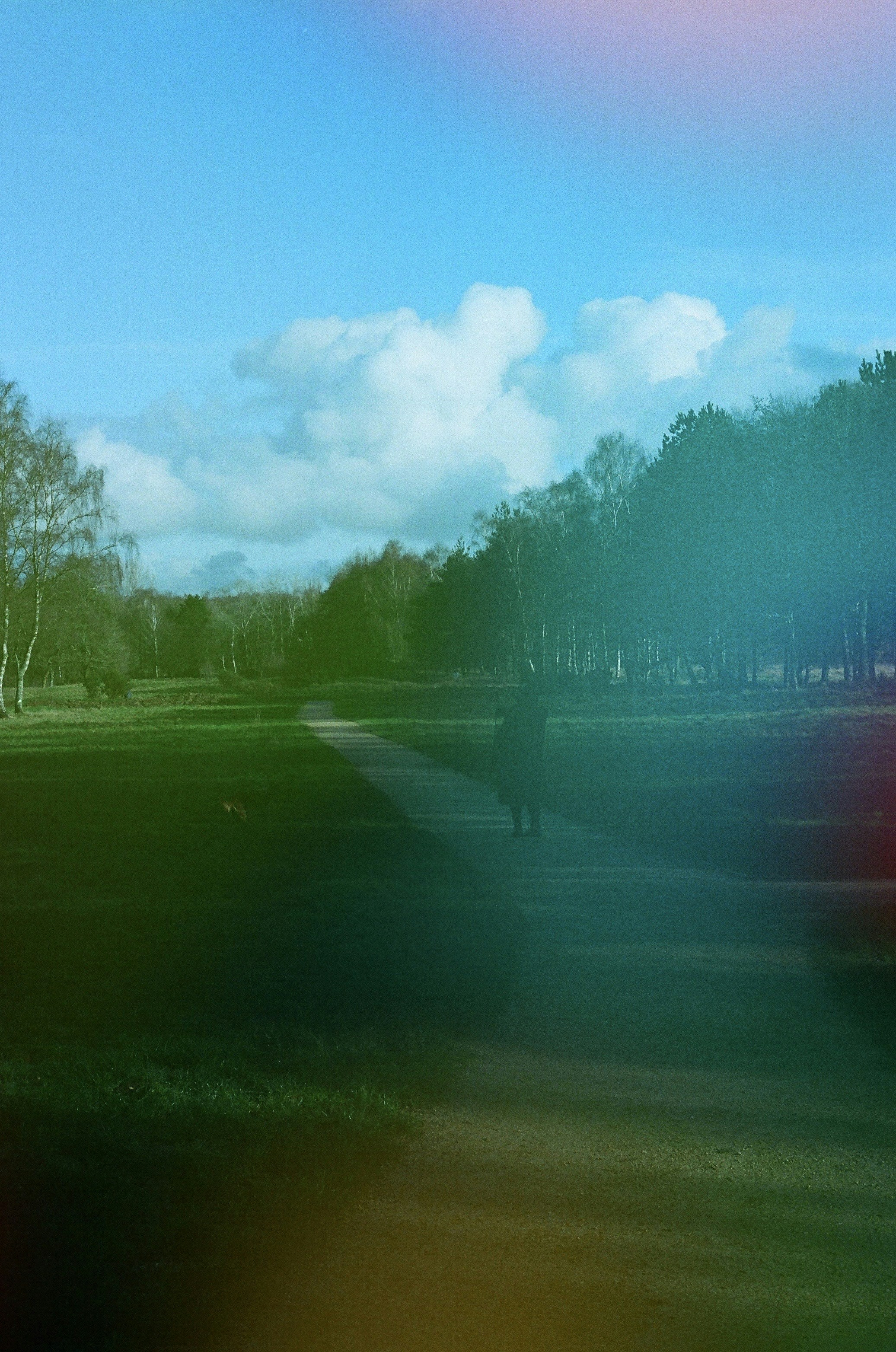 A person walks on a path in a park.