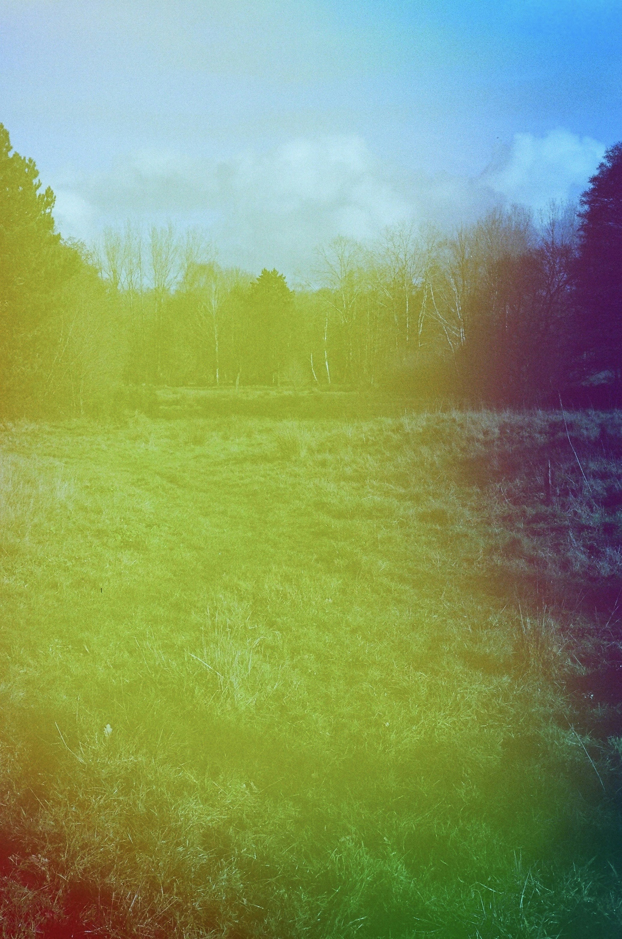 Campo de hierba con árboles y un cielo colorido superpuesto