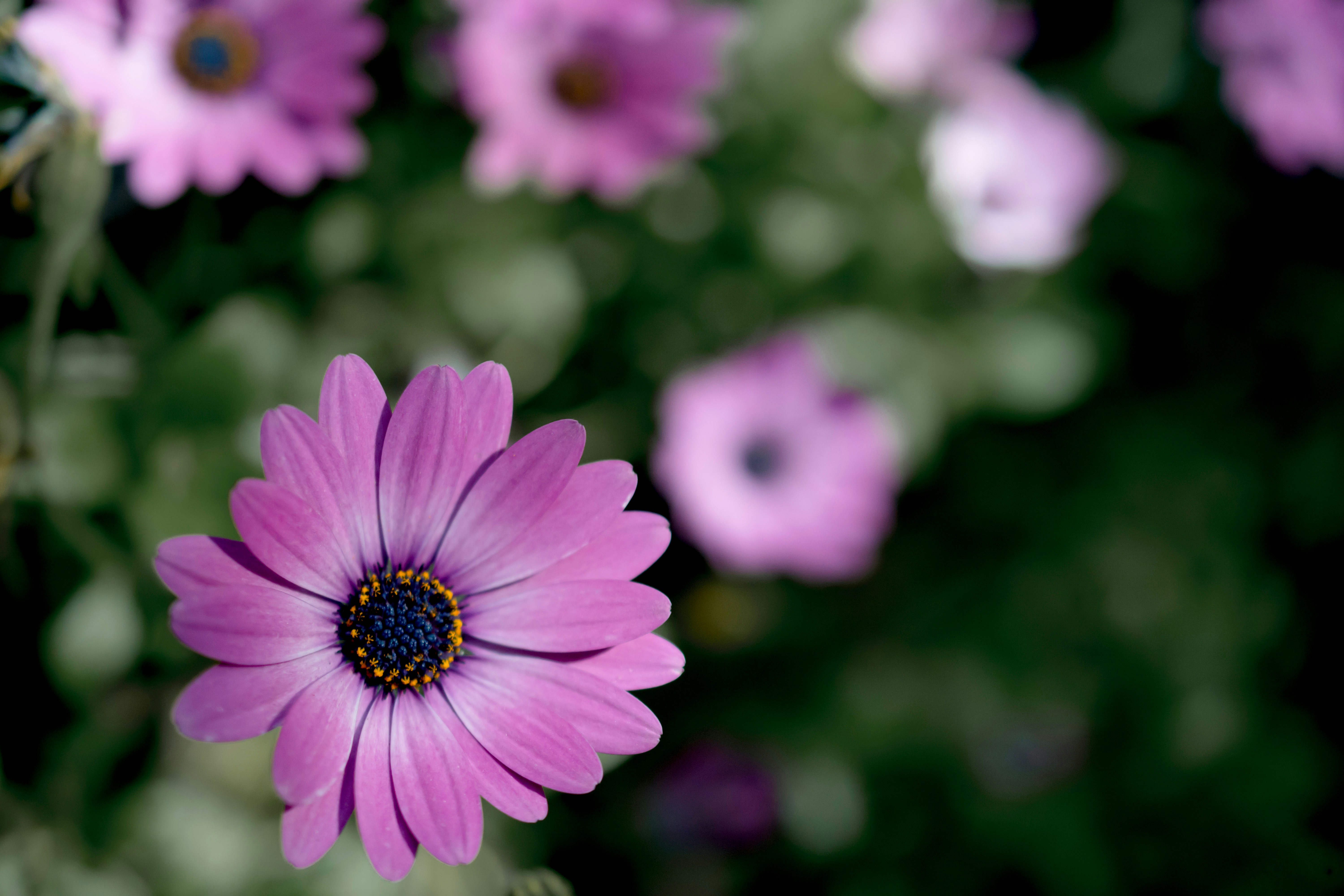 Photo by atelierbyvineeth