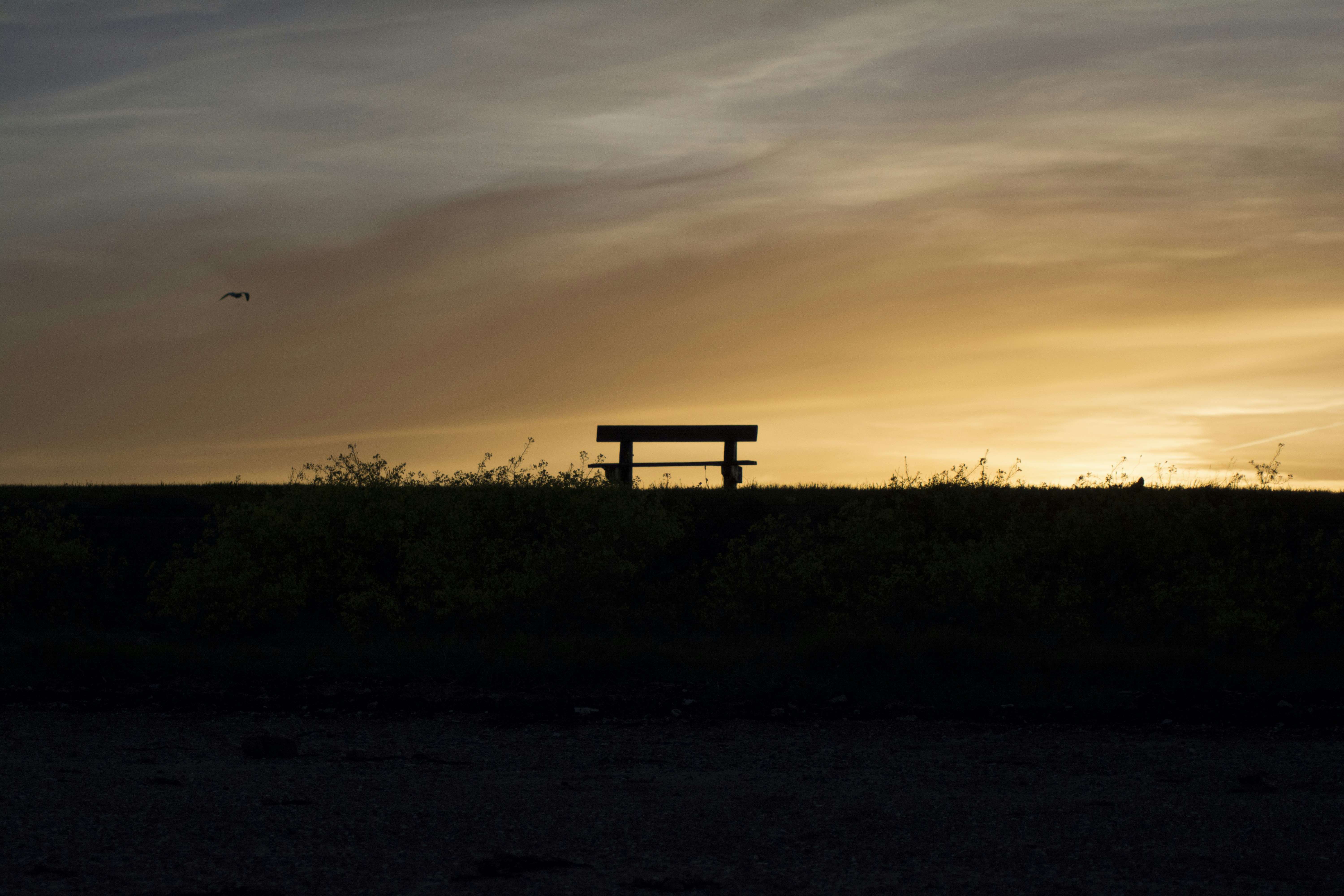 Silhouette of a park bench at sunset