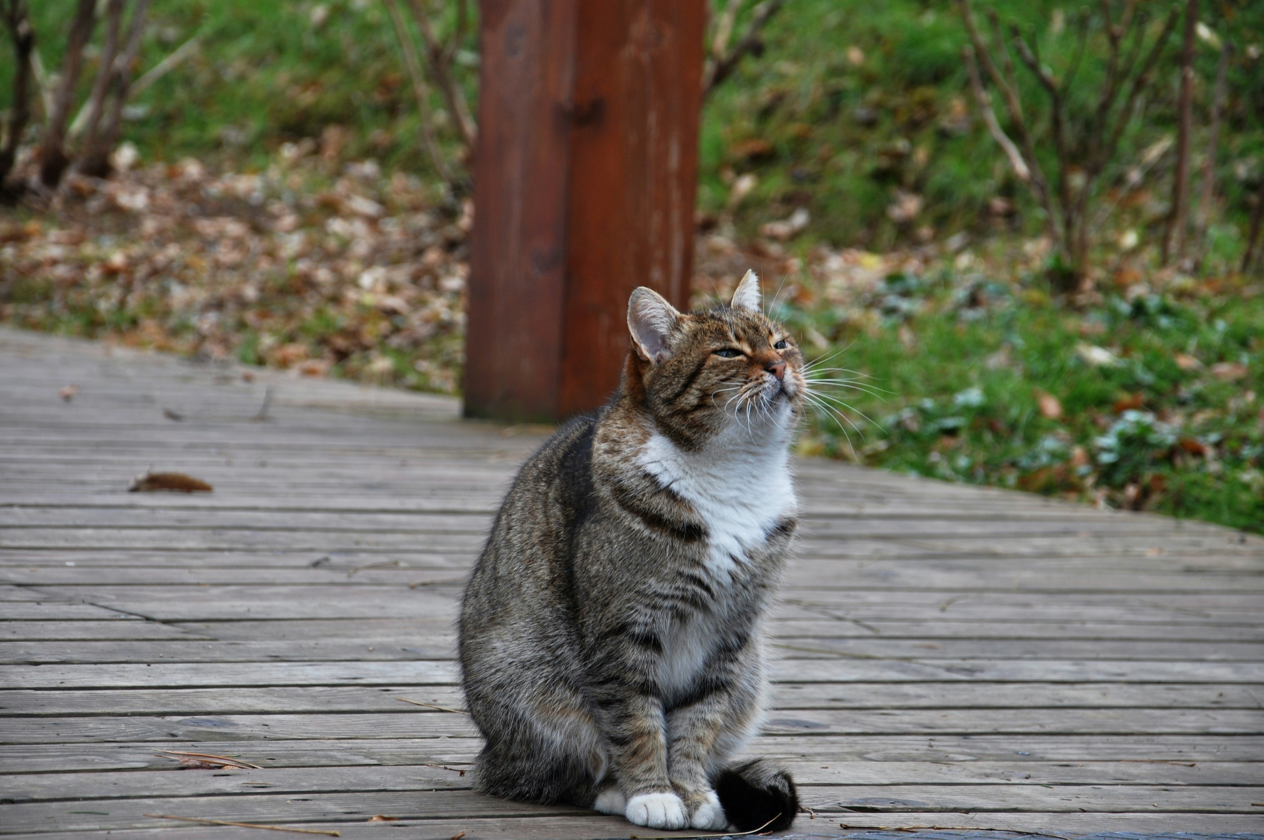 Photo by karakolcubars