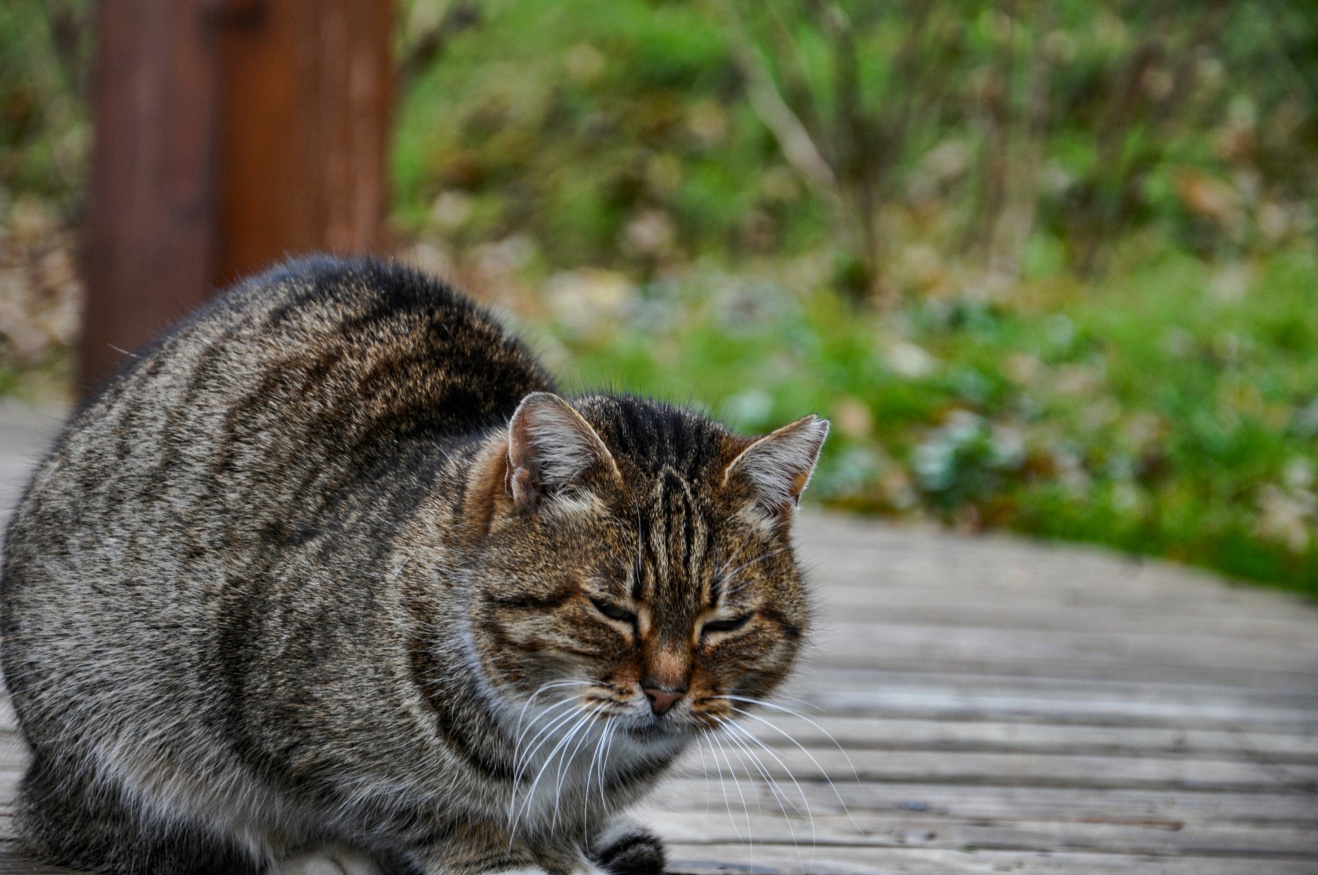 Photo by karakolcubars