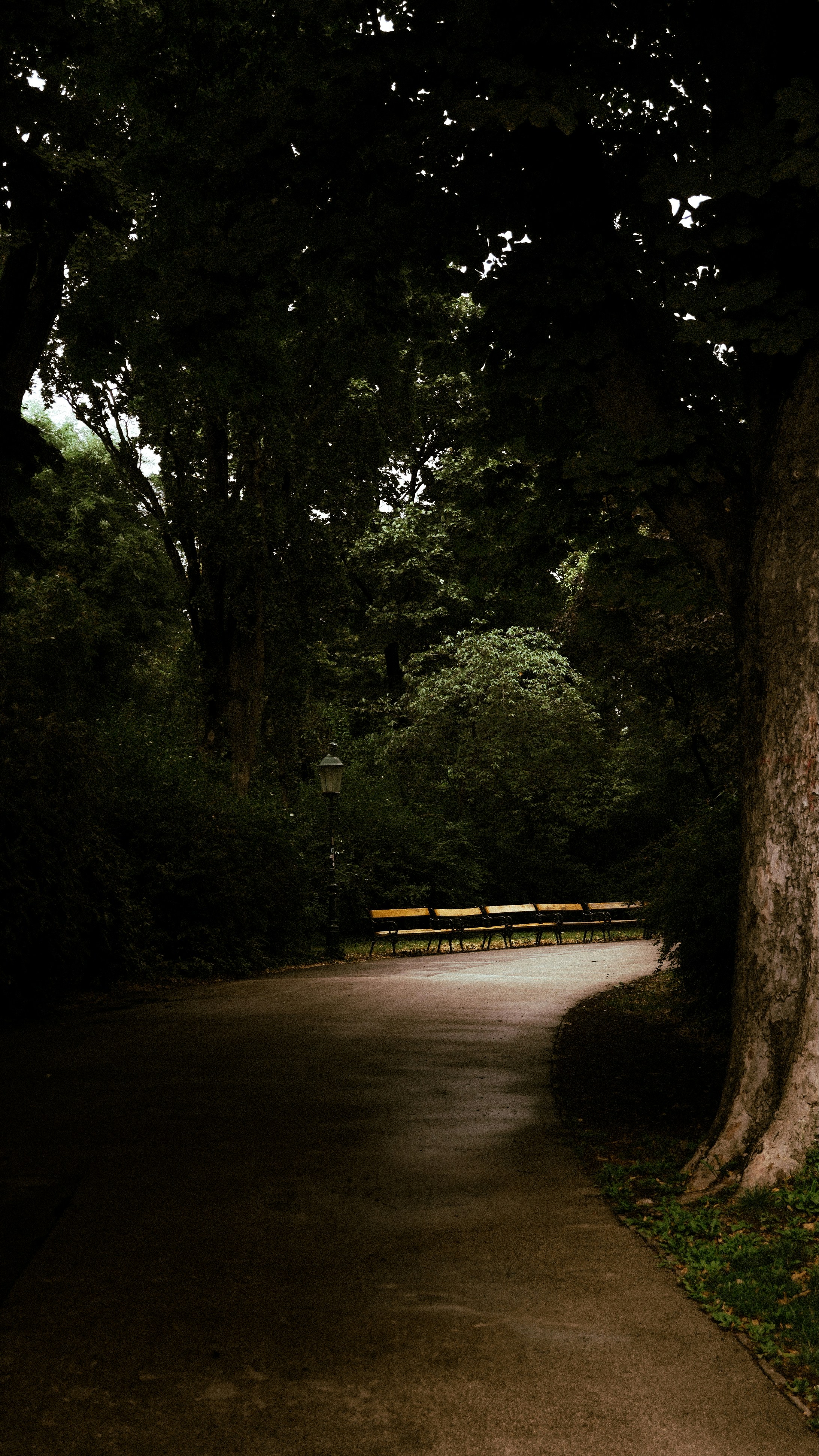 Photo by ozguryiilmaz