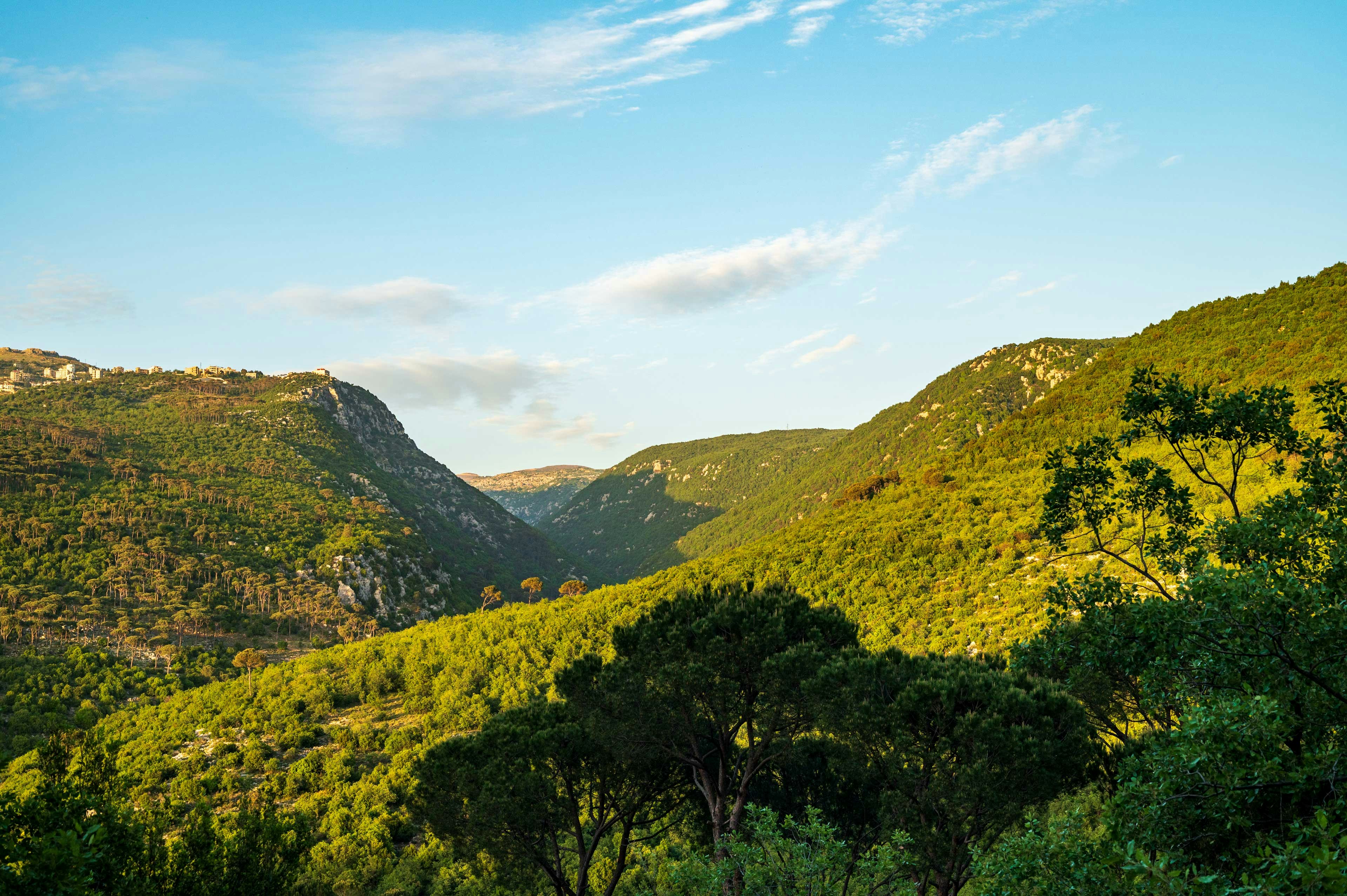 Green forested mountains under a bright blue sky.
