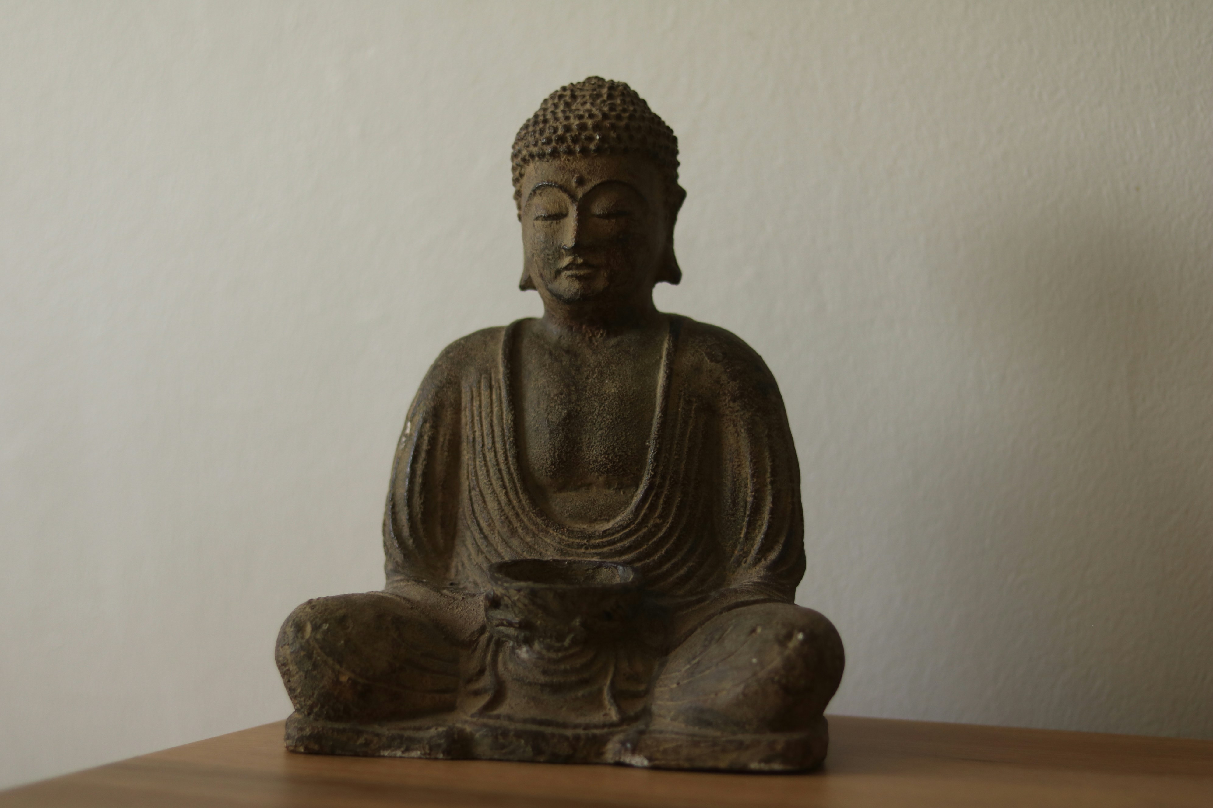 Photo by allysphotos