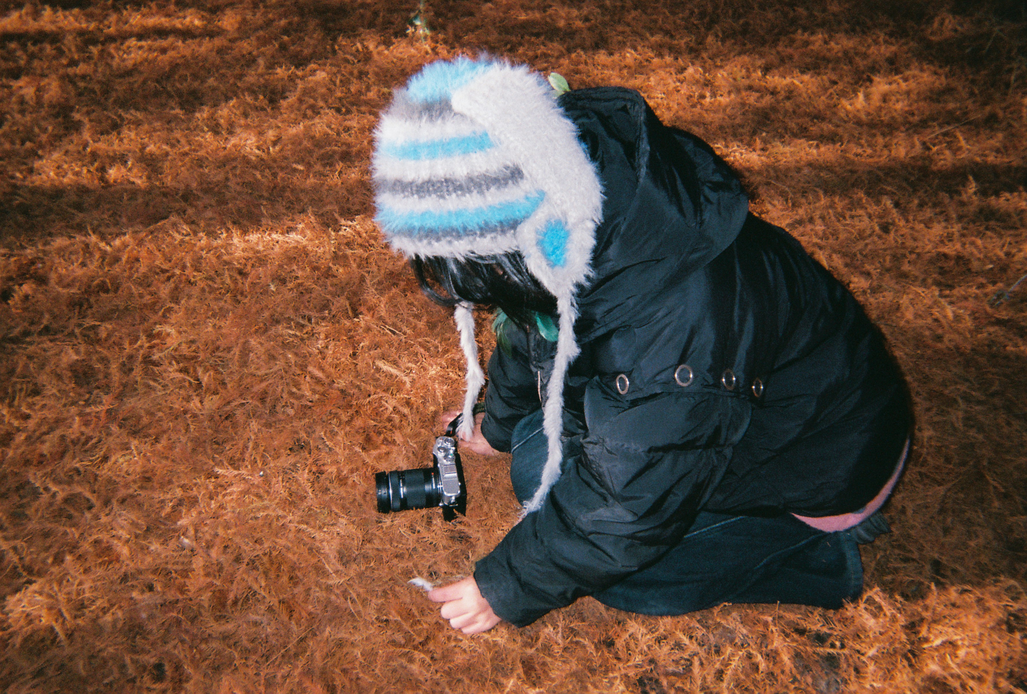 Child in winter clothes examining dry grass with camera