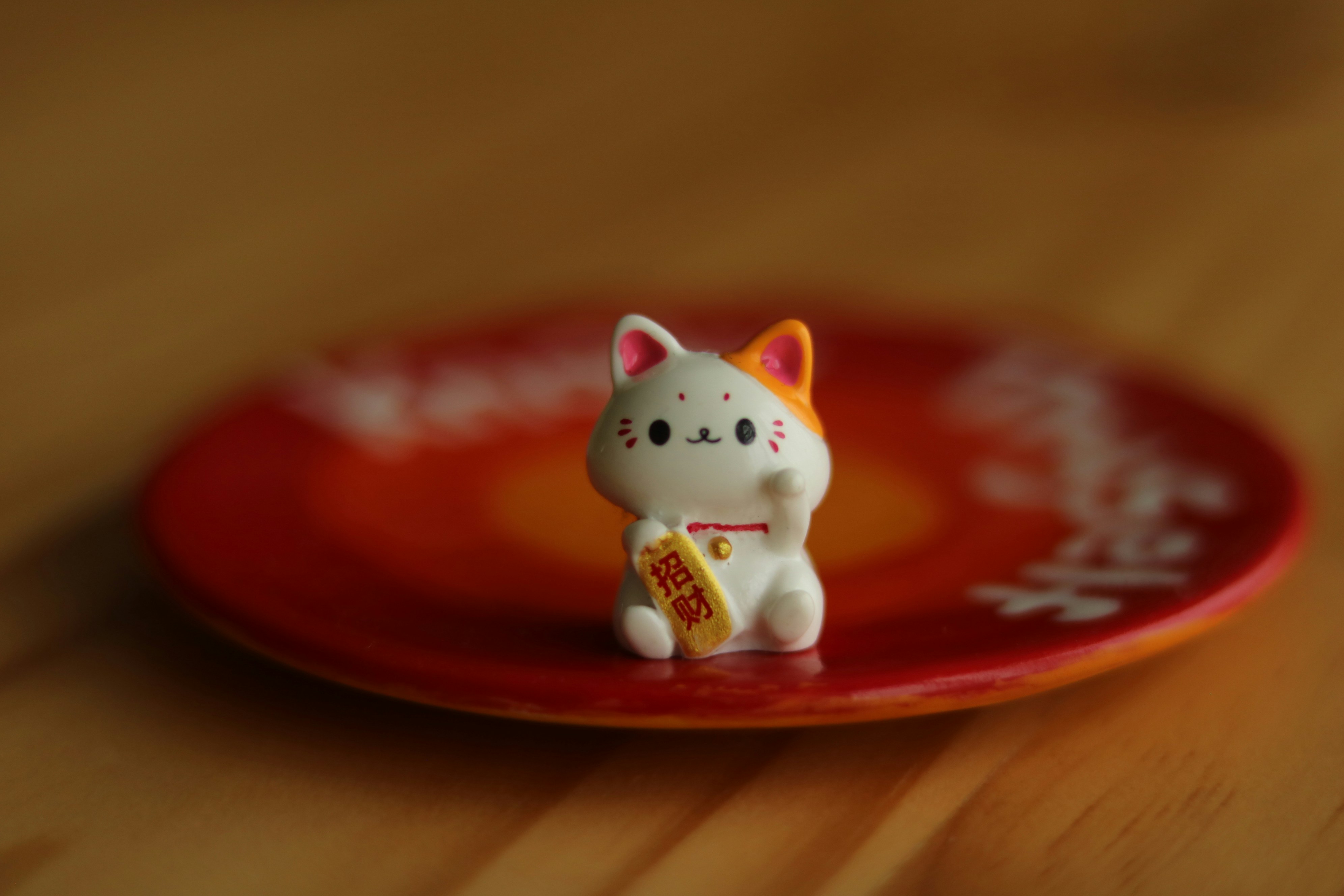 Photo by allysphotos