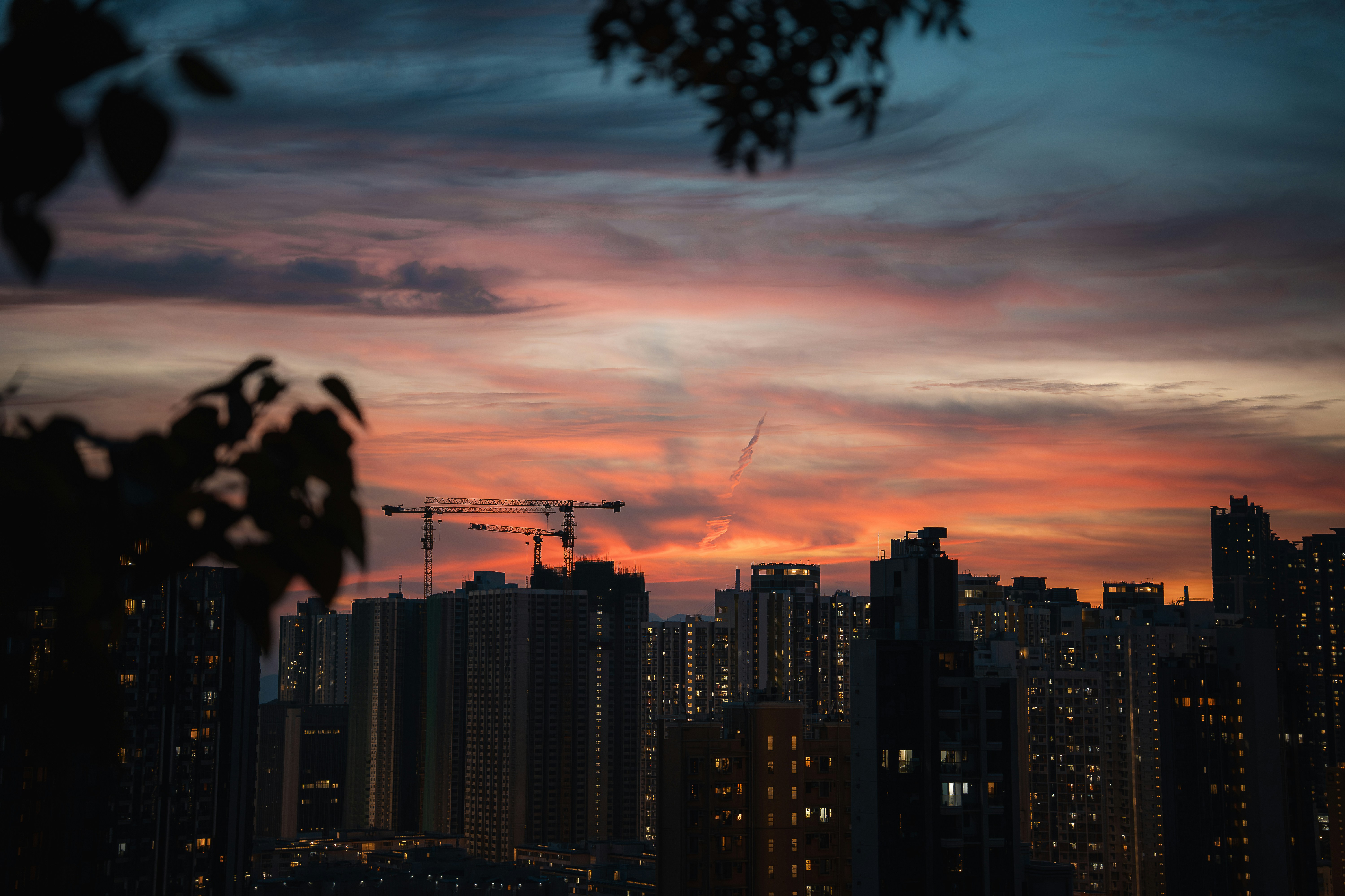 Photo by willianjusten