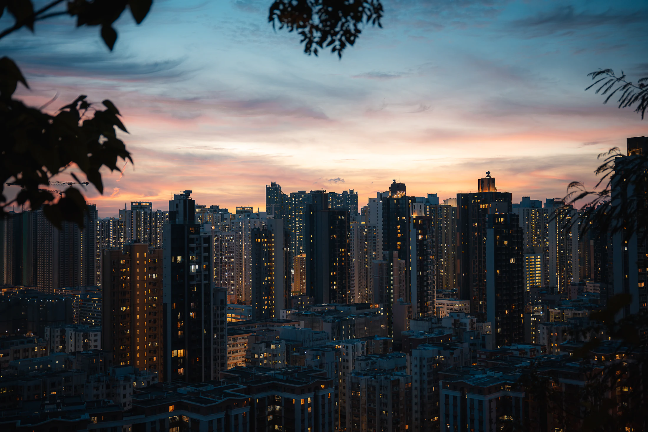 Growth REIT vs. Income REIT: Choosing Your Objective