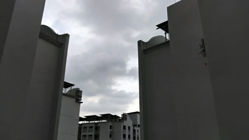 Supporting Image