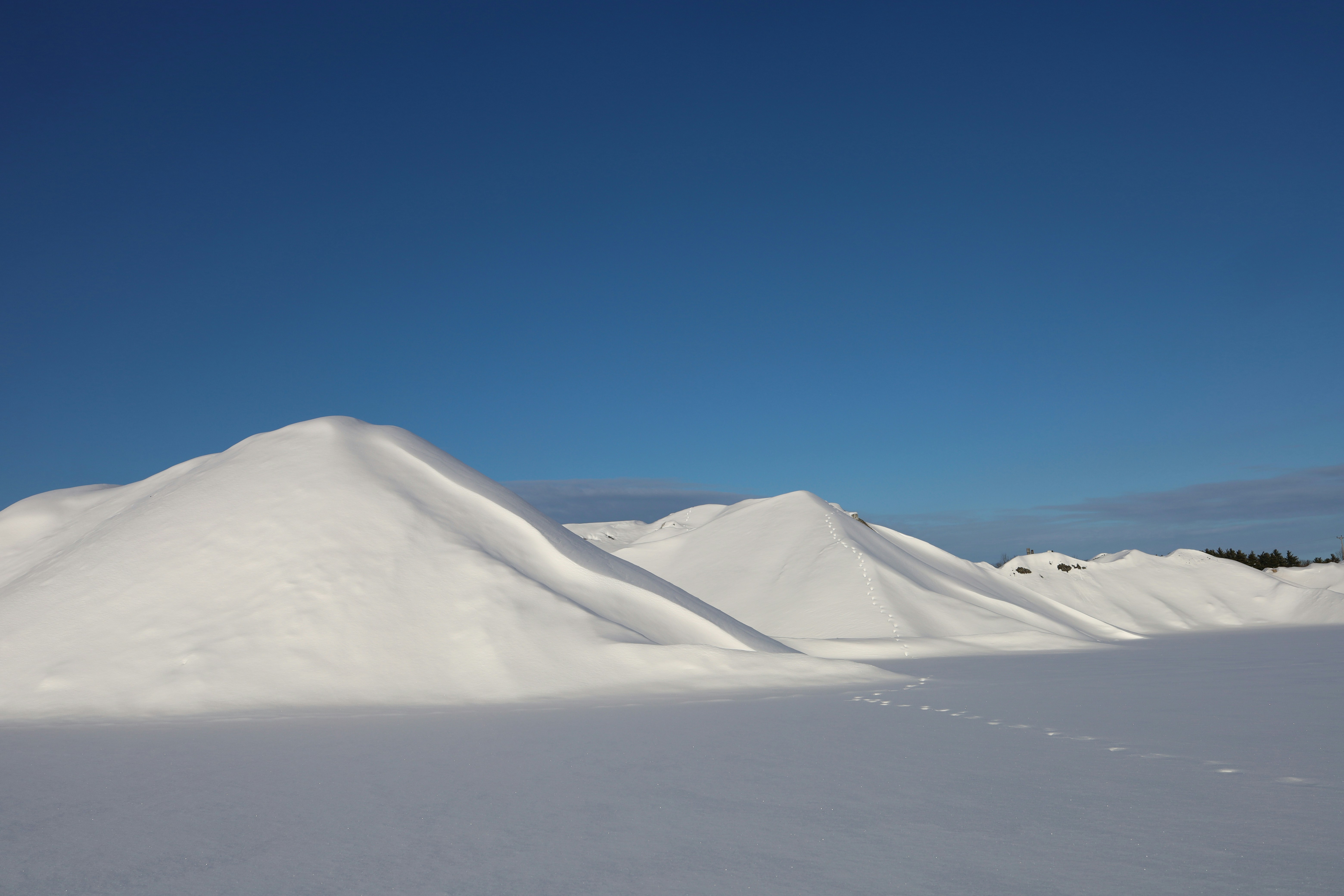 Photo by chris_photography1256