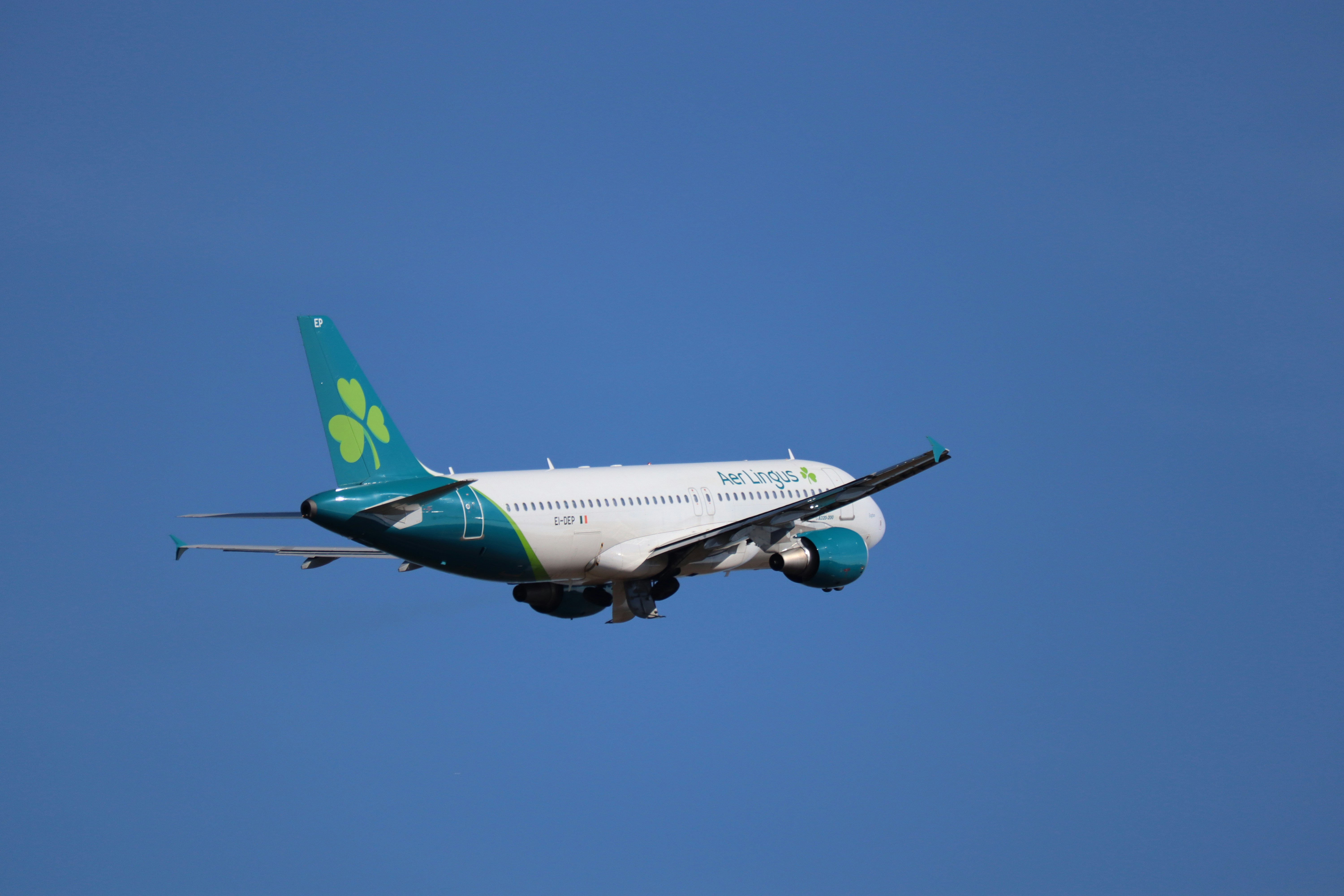 An aer lingus airplane flying in a clear blue sky
