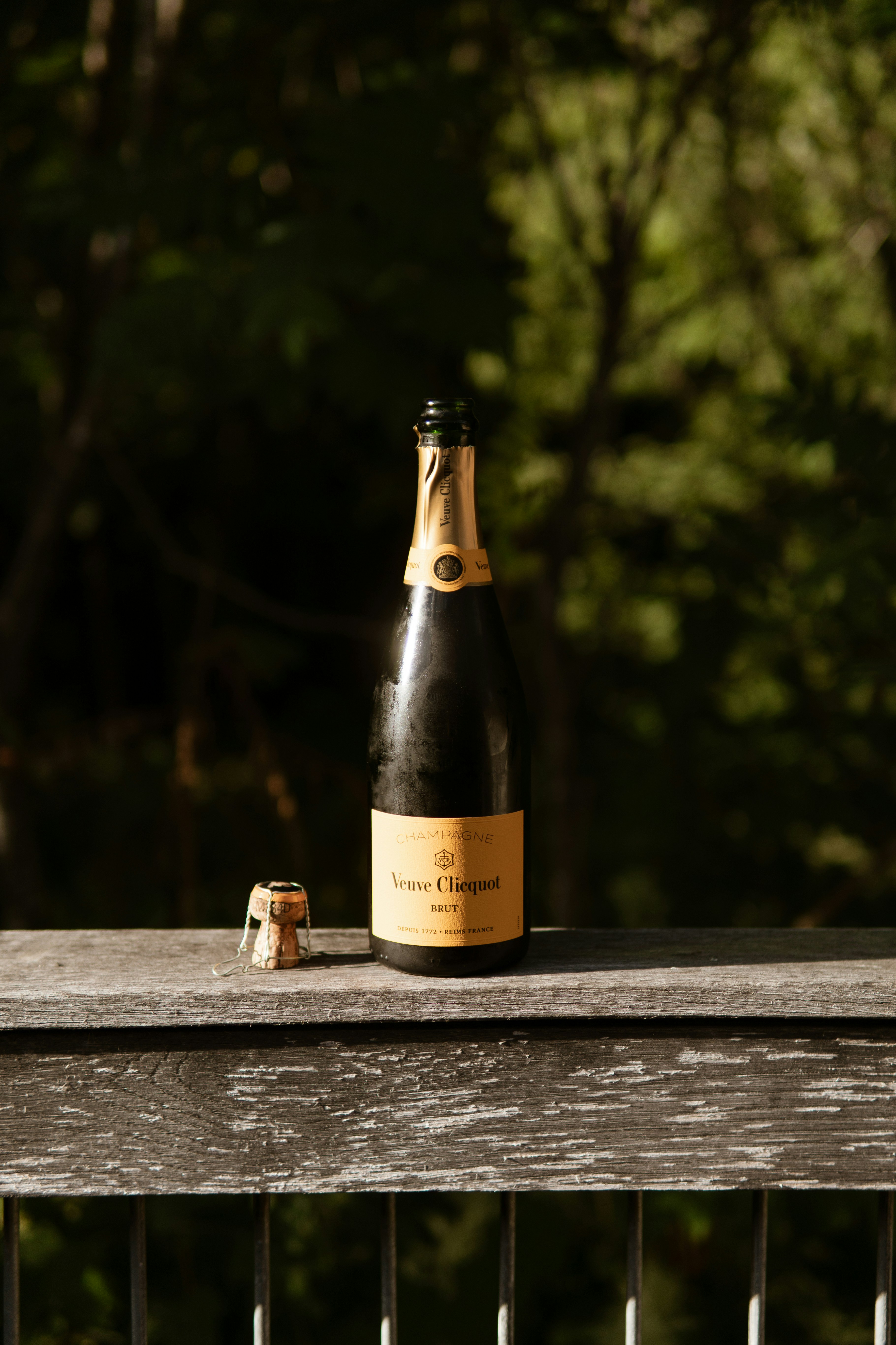 Photo by taylor_friehl