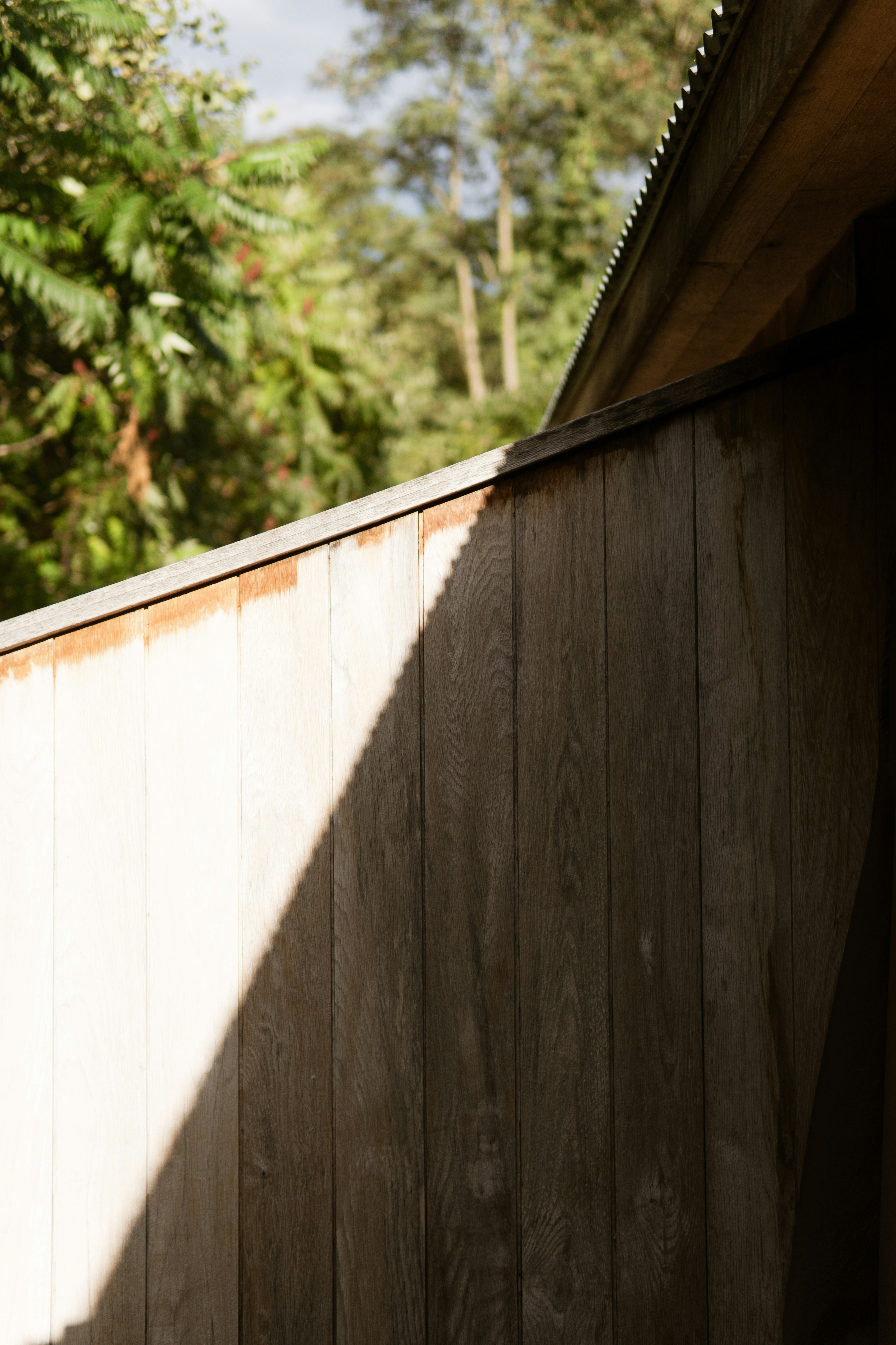 Photo by taylor_friehl