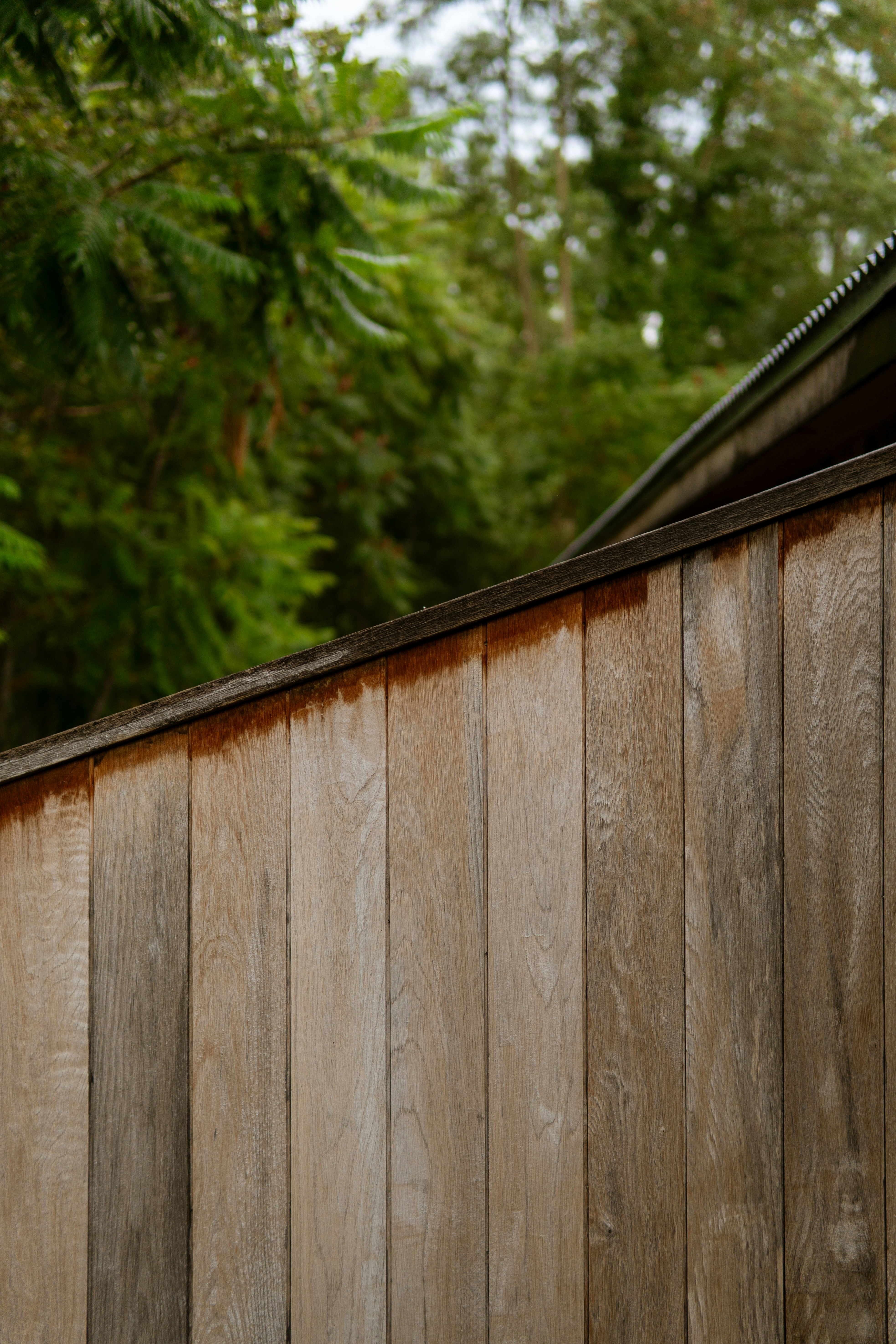 Photo by taylor_friehl