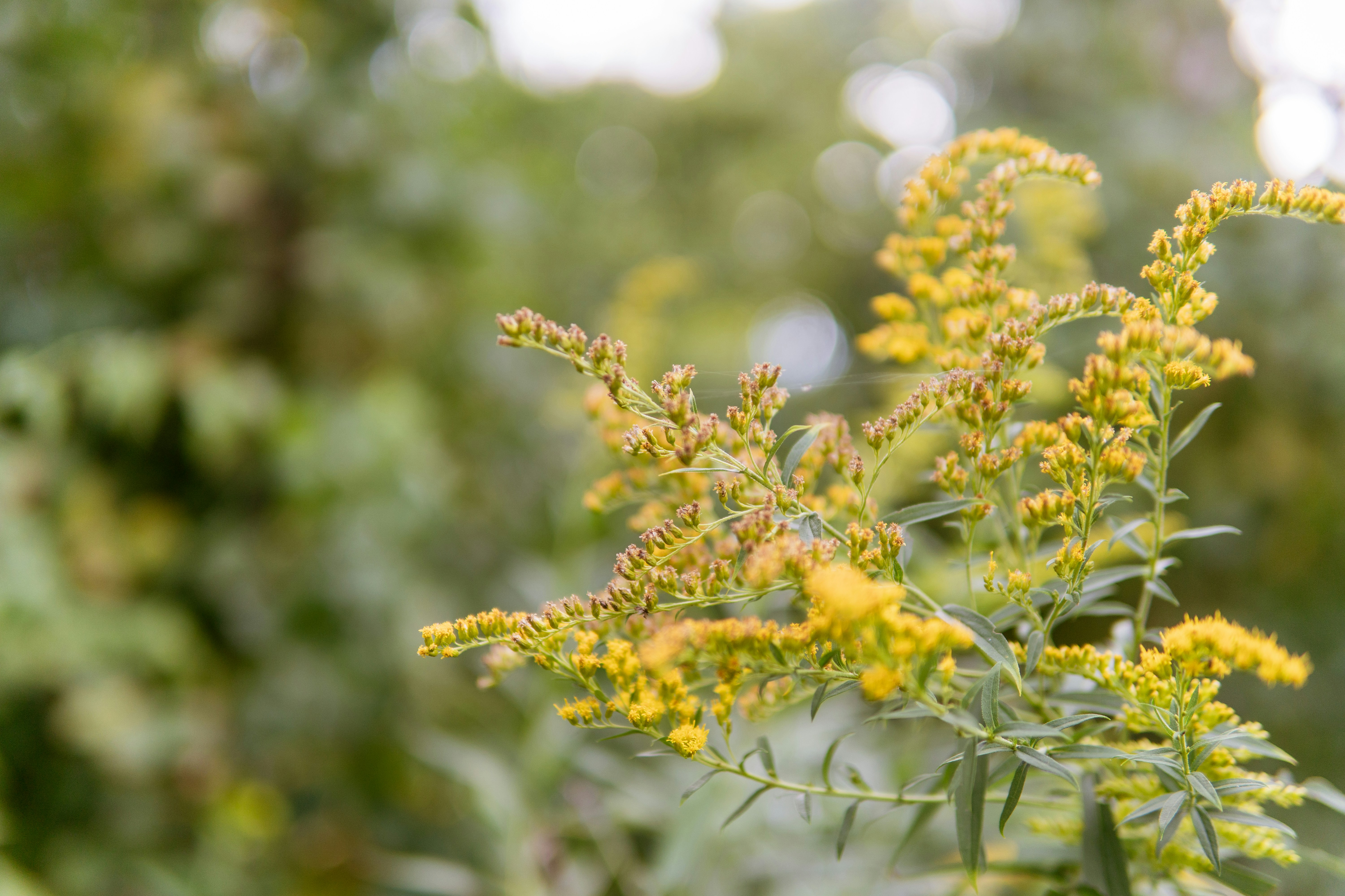 Photo by taylor_friehl