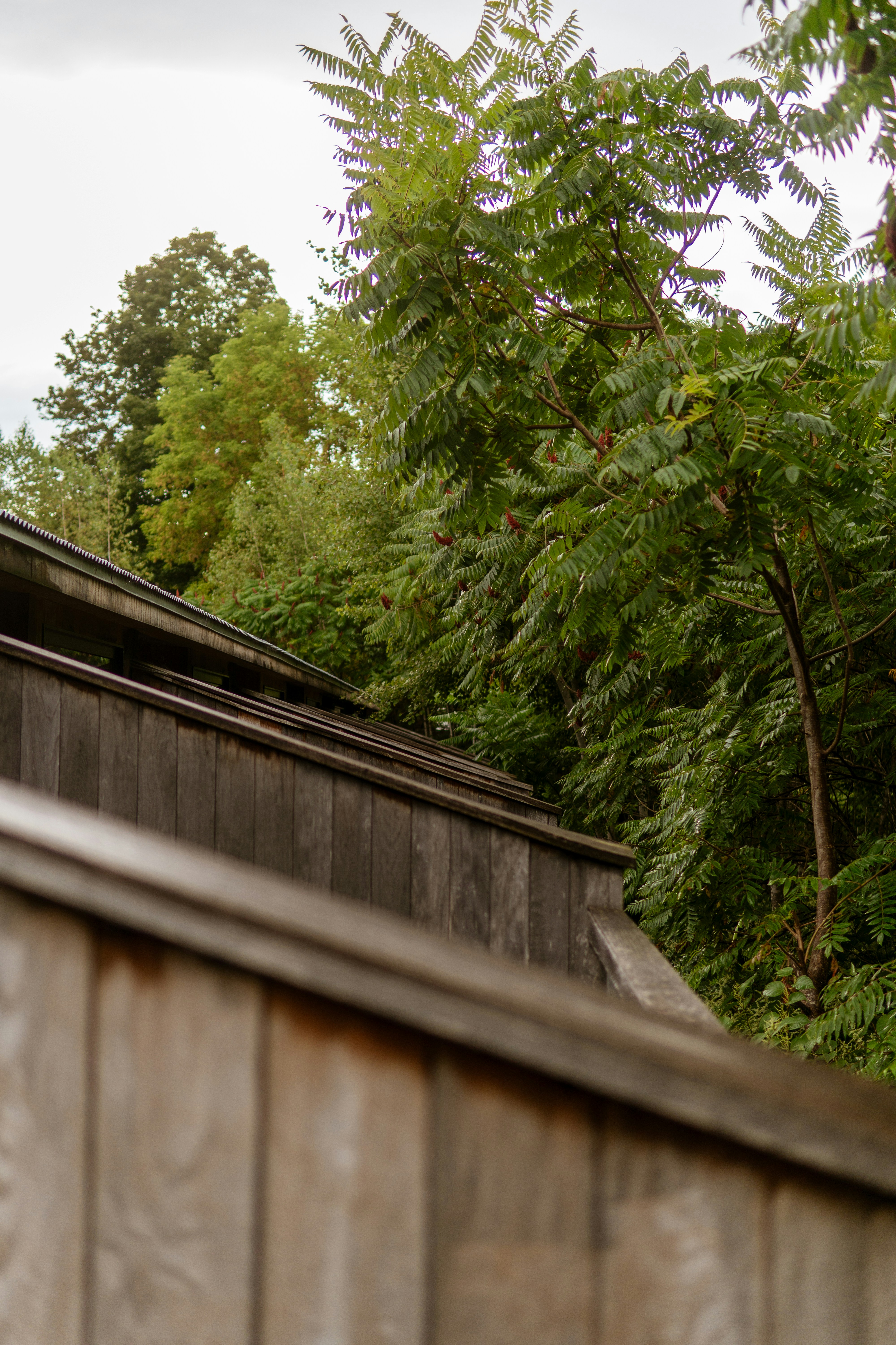 Photo by taylor_friehl