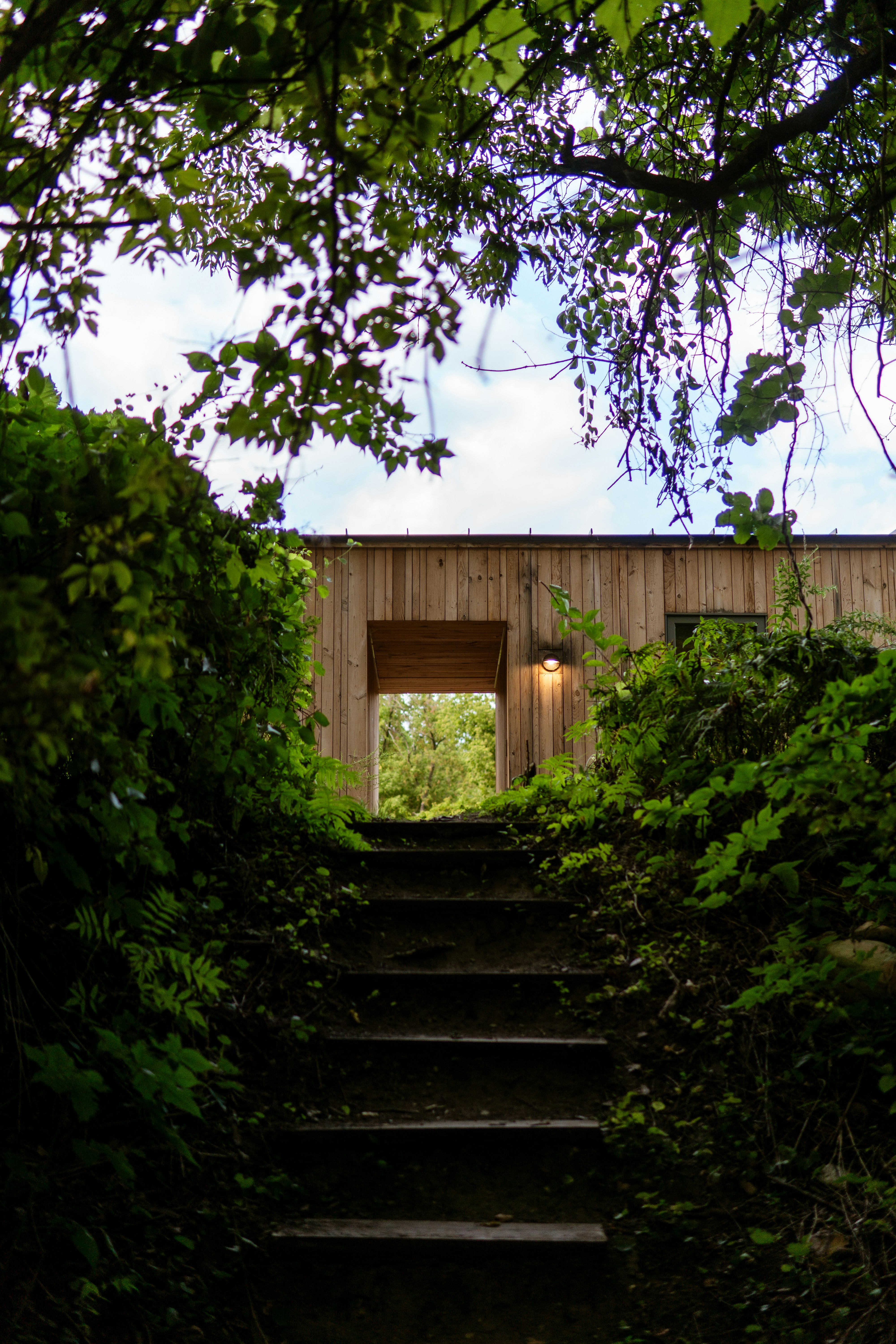 Photo by taylor_friehl