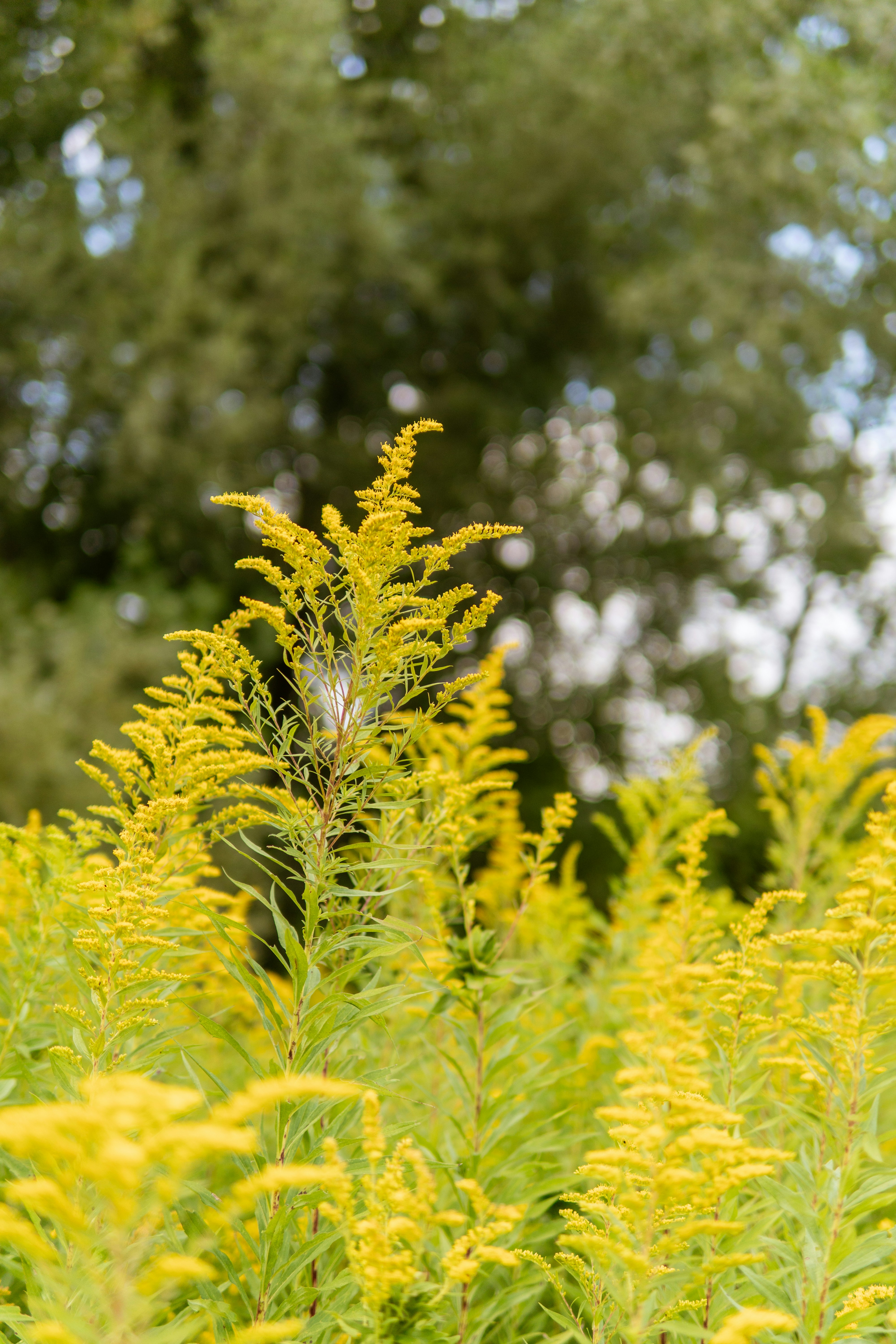 Photo by taylor_friehl