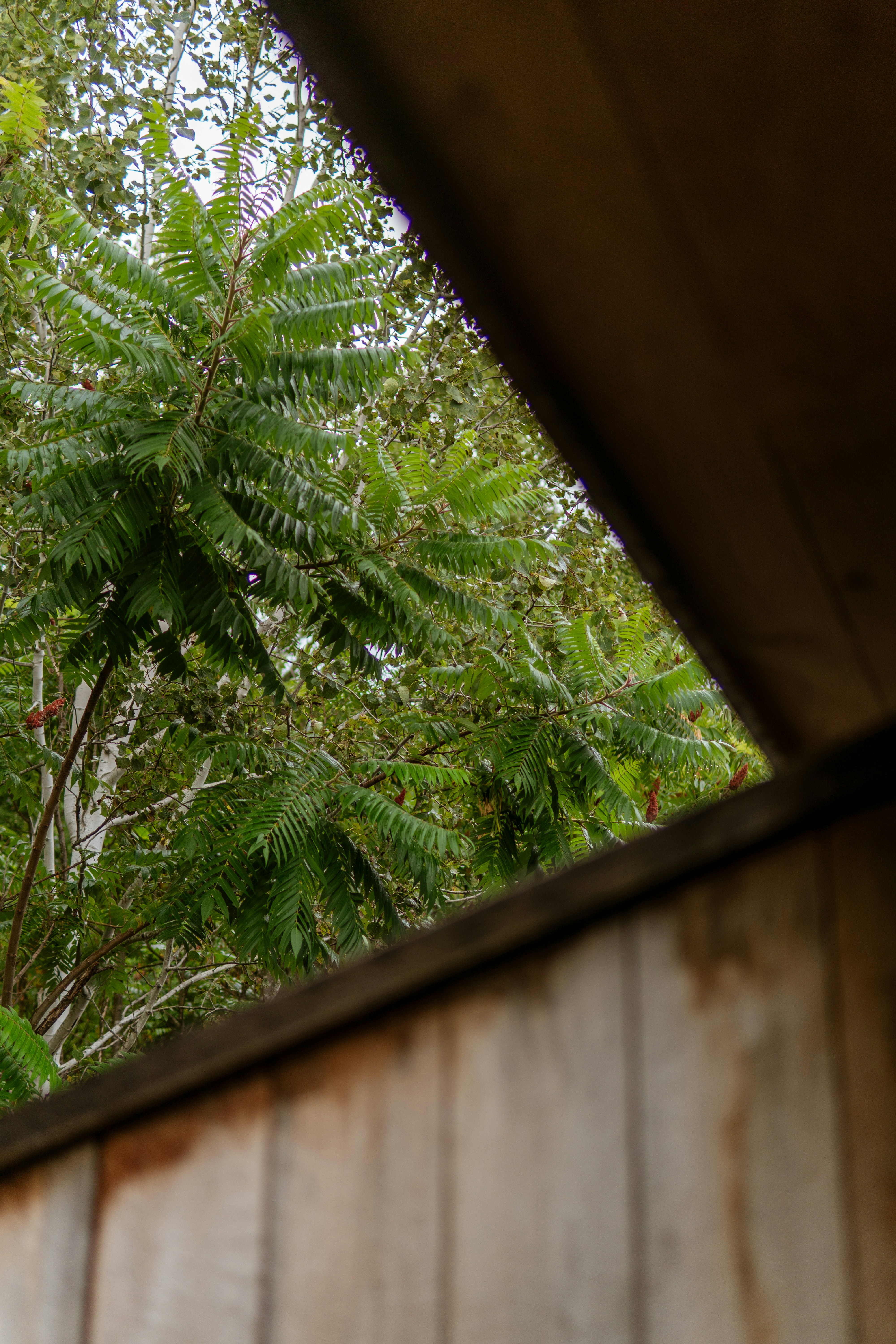 Photo by taylor_friehl