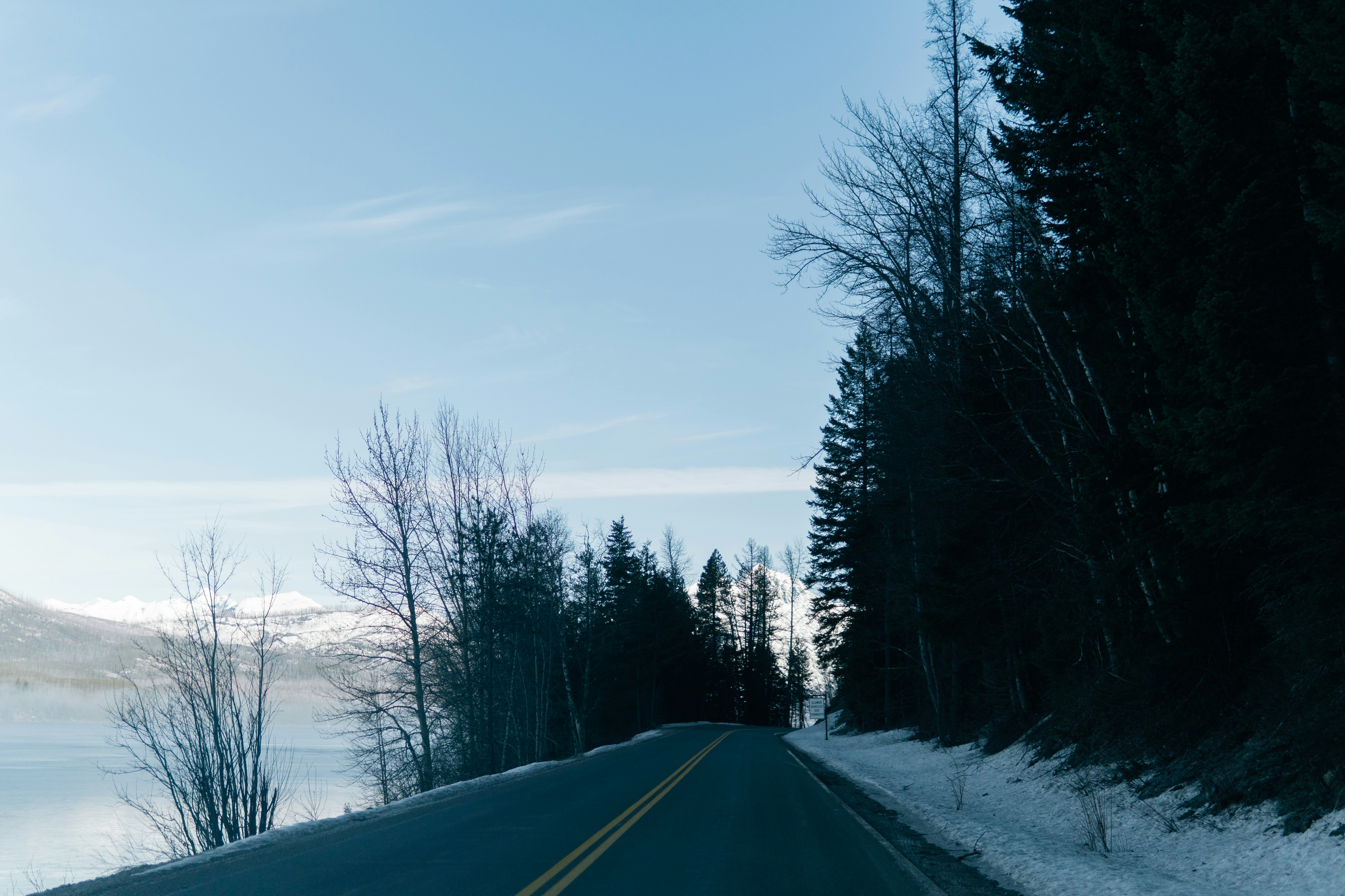 Photo by taylor_friehl