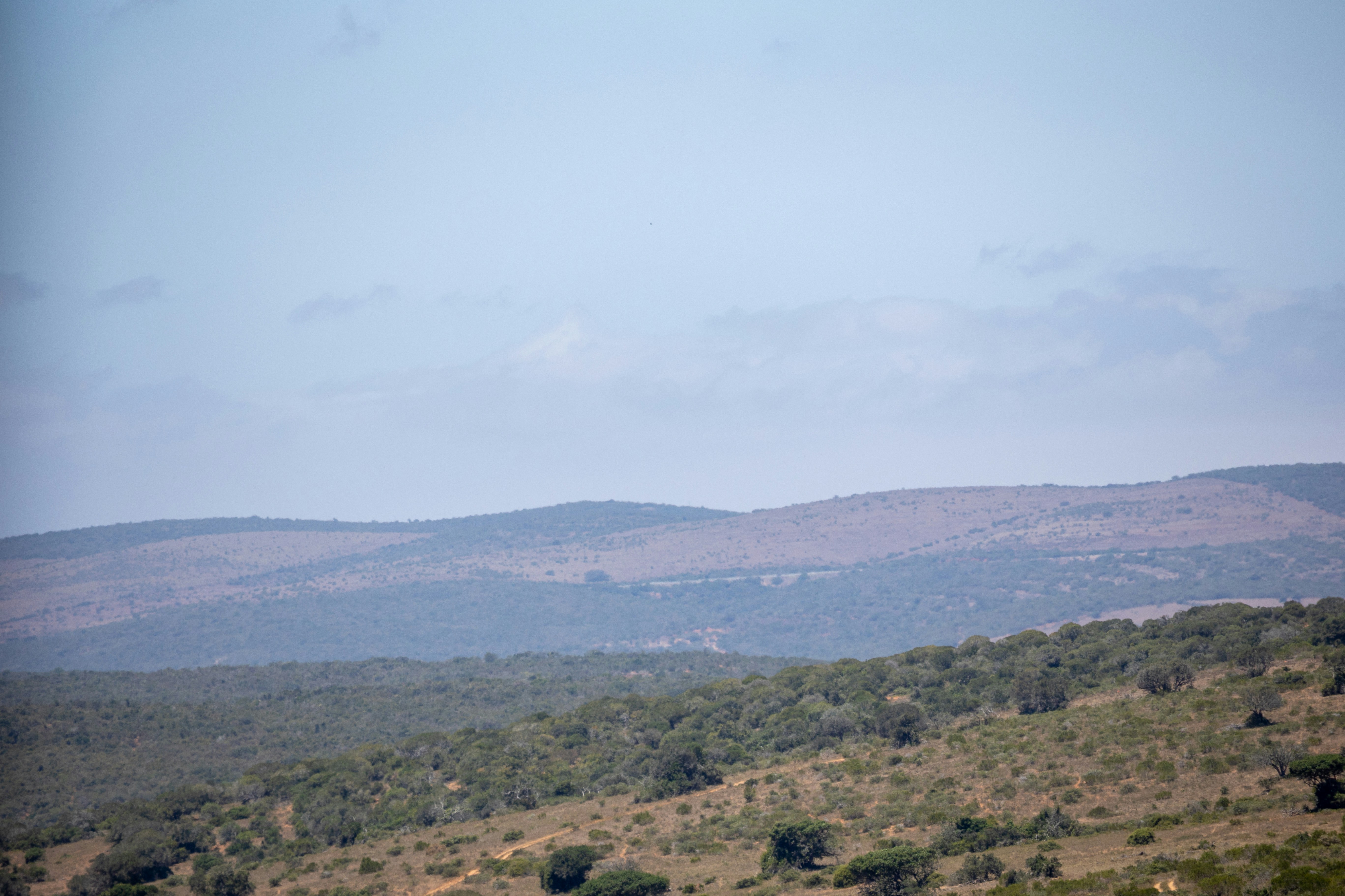 BOOTS ON THE GROUND: SANDF will work with police to give state ’monopoly of force’, says army chief