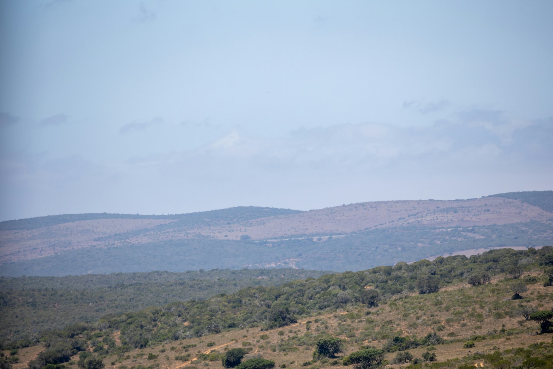 Romantic Cape, Kruger & Luxury Rail