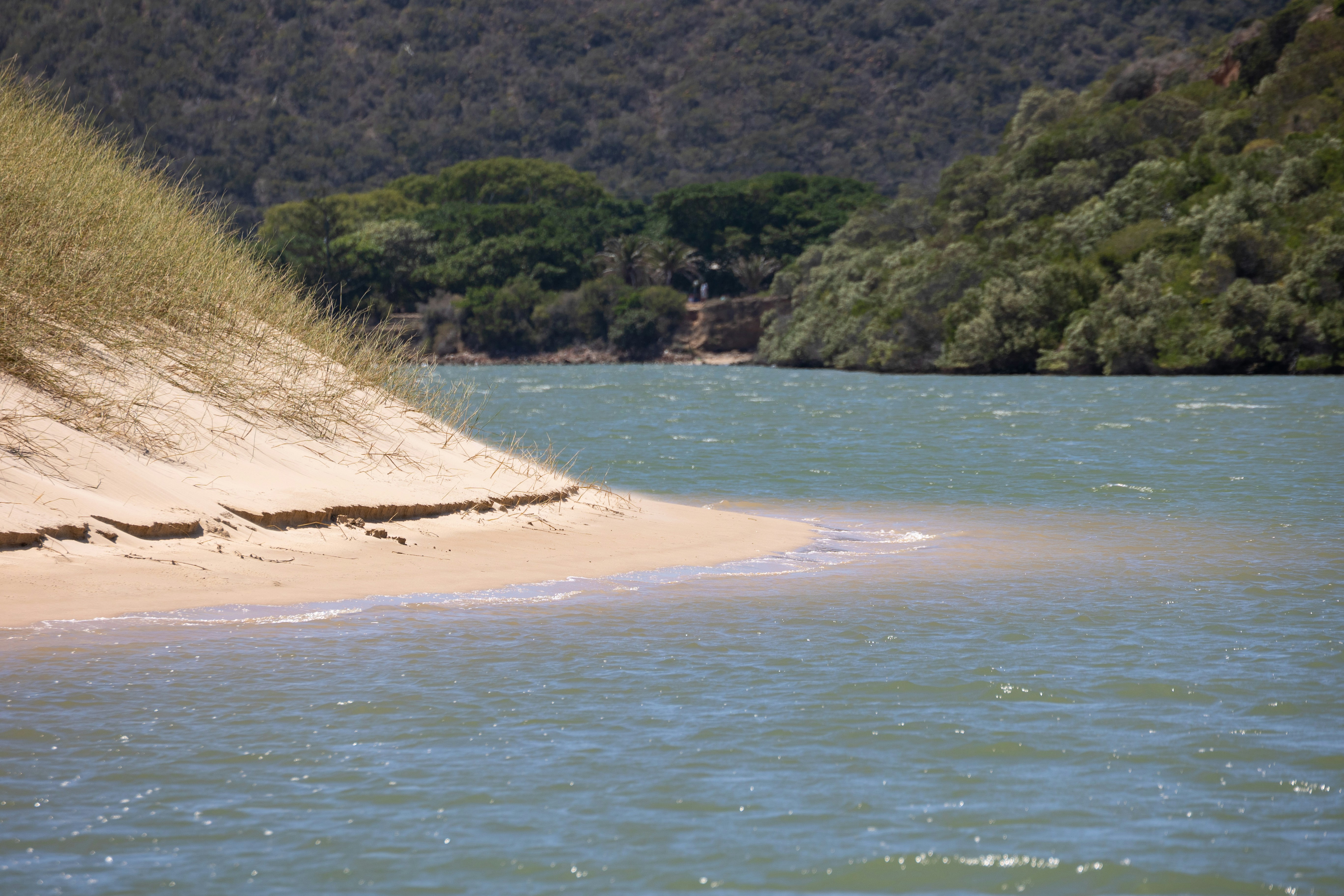 Sand River
