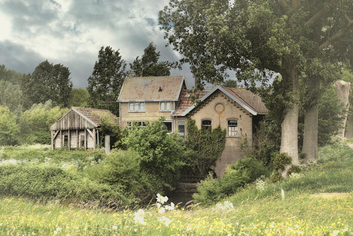 Before: An old, overgrown house on a hillside