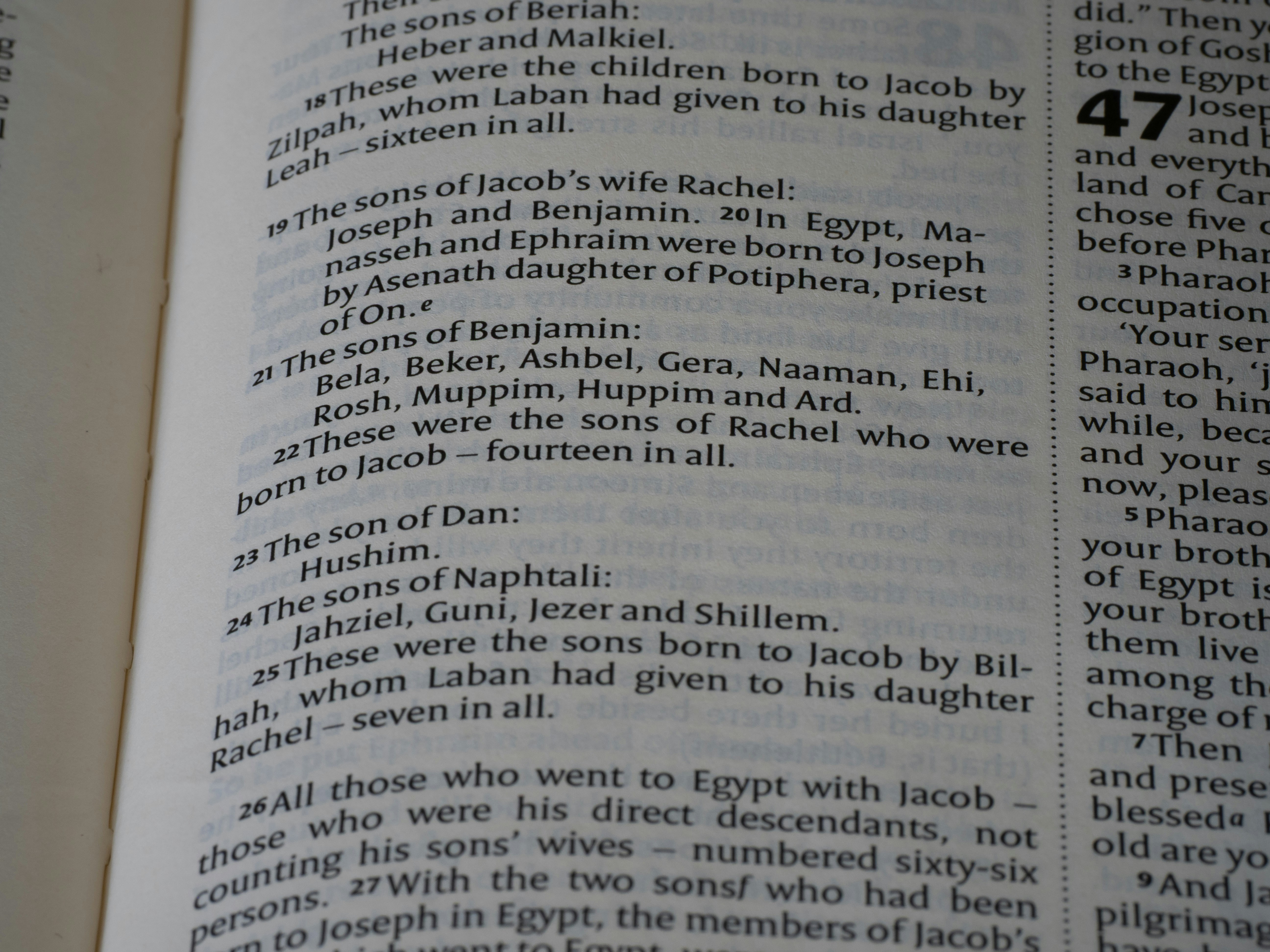 北条時行の妻子について