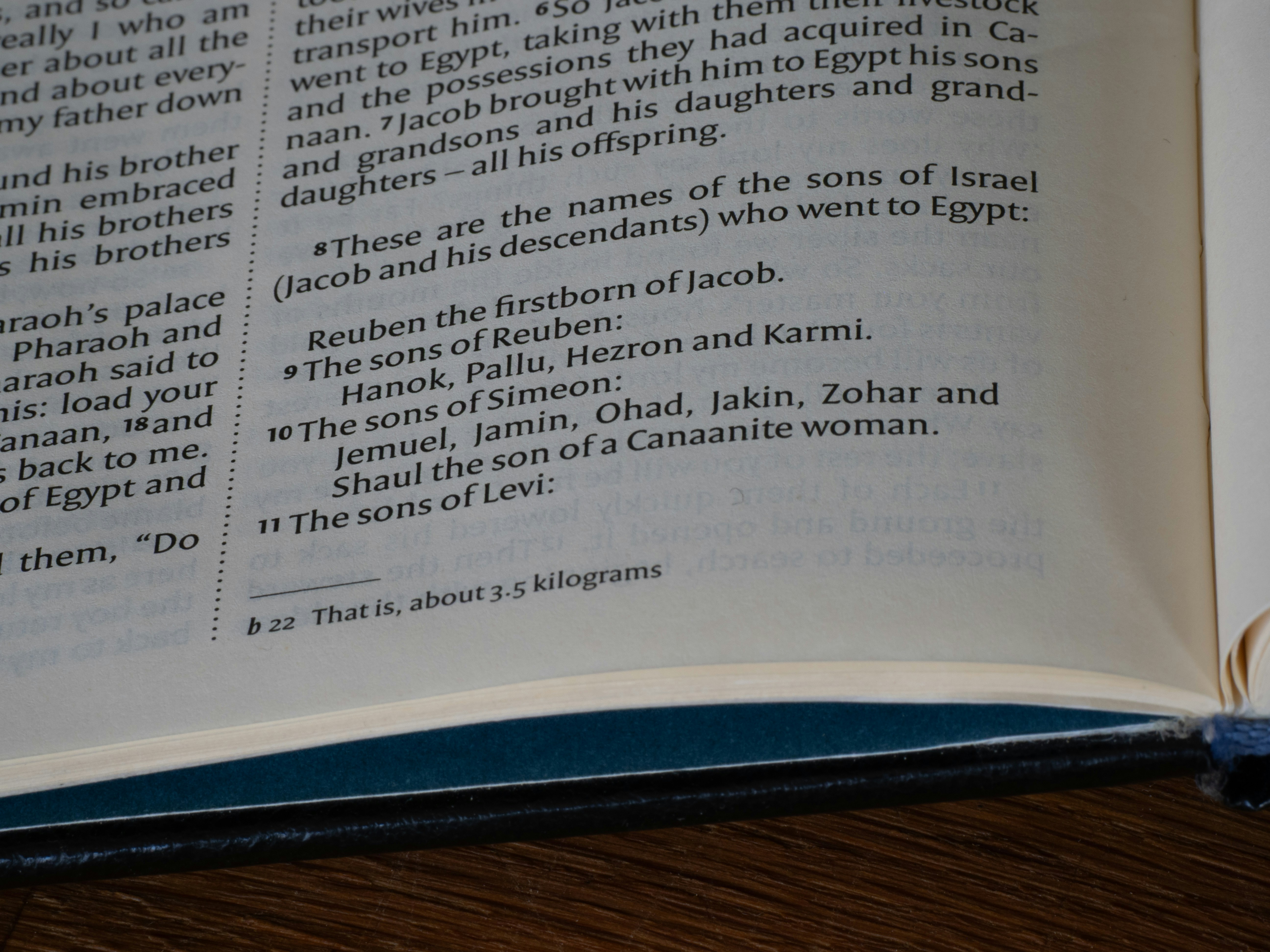 Close-up of text in an open book