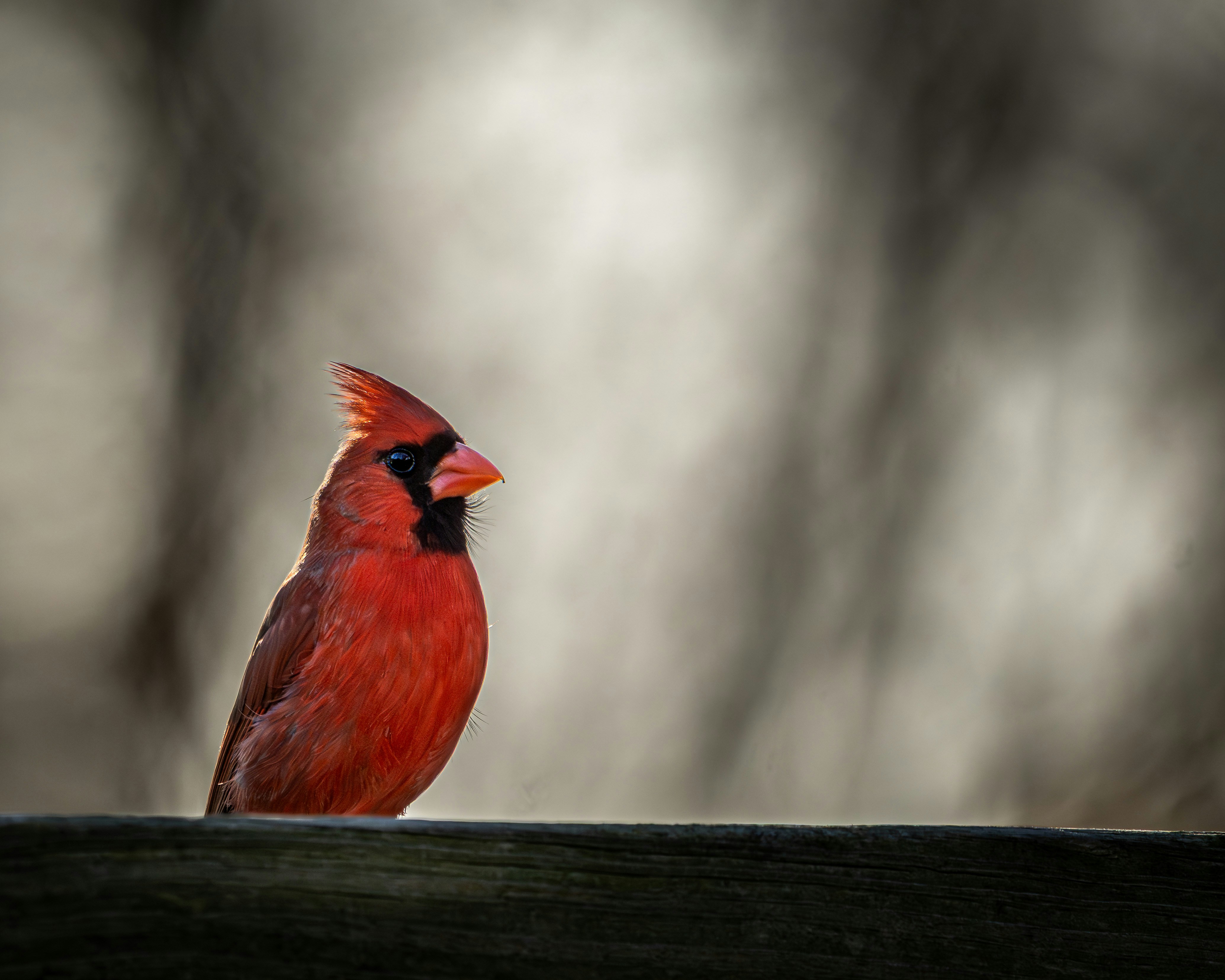 Alternative text for describing the image displayed