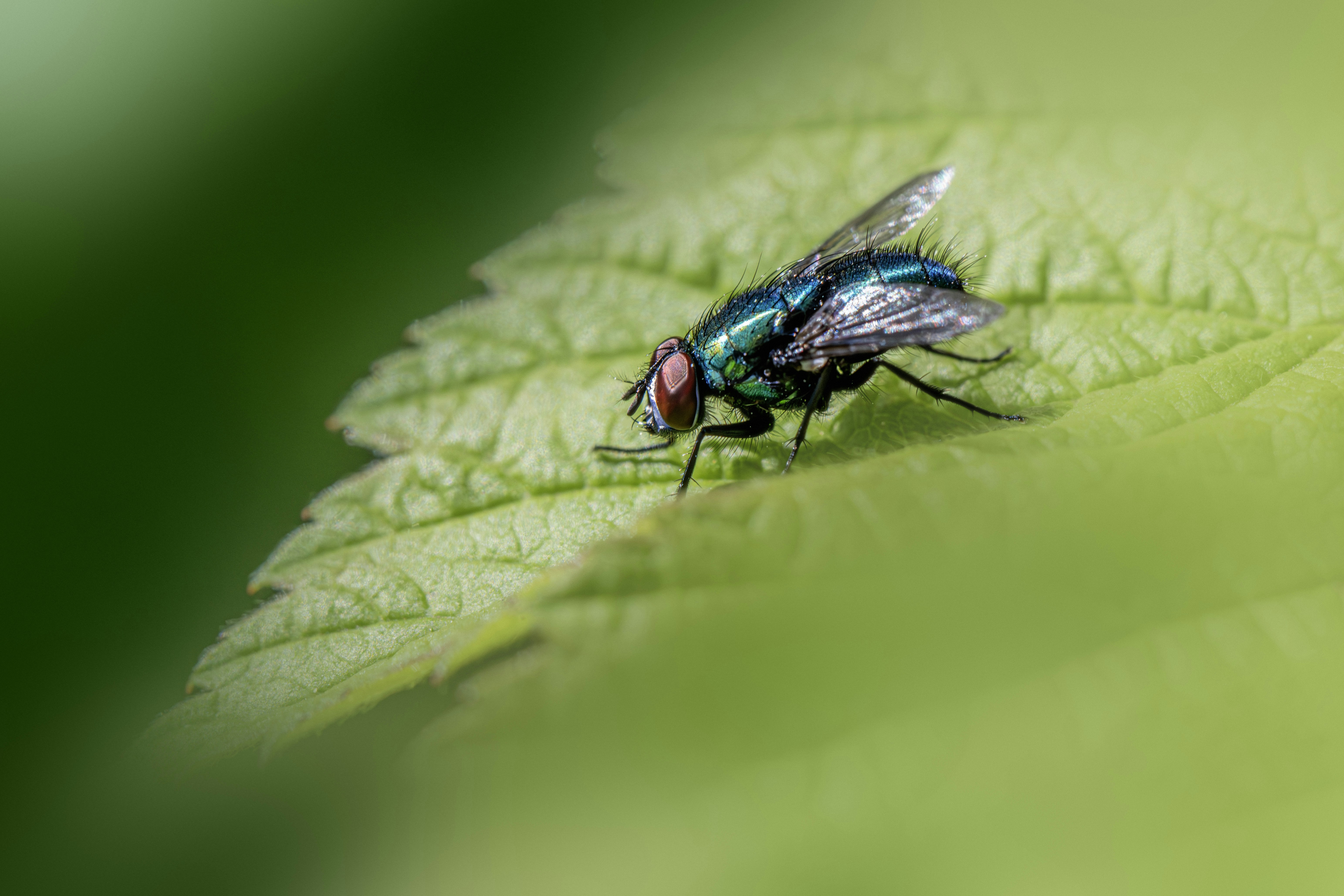 Photo by erik_karits