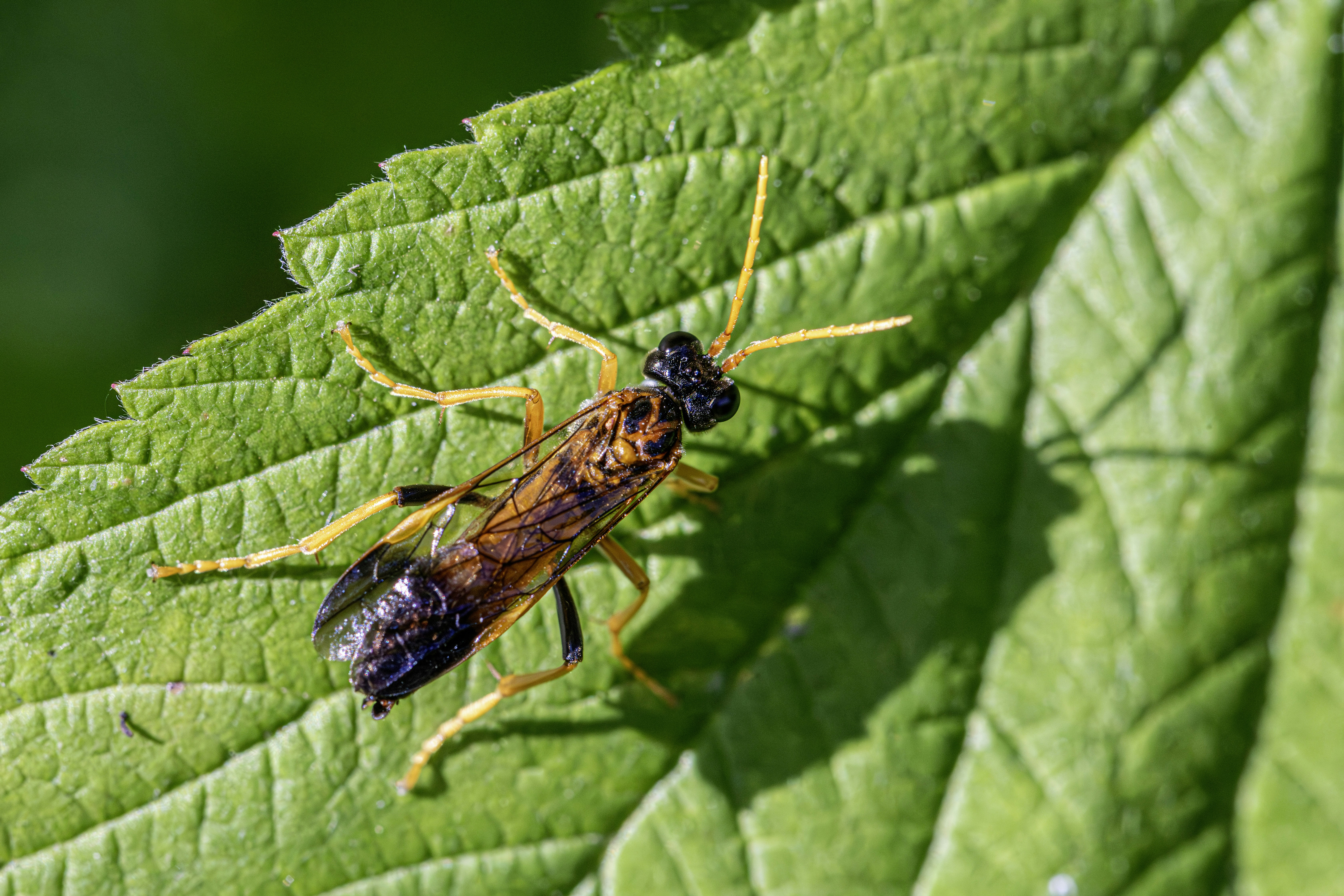 Photo by erik_karits