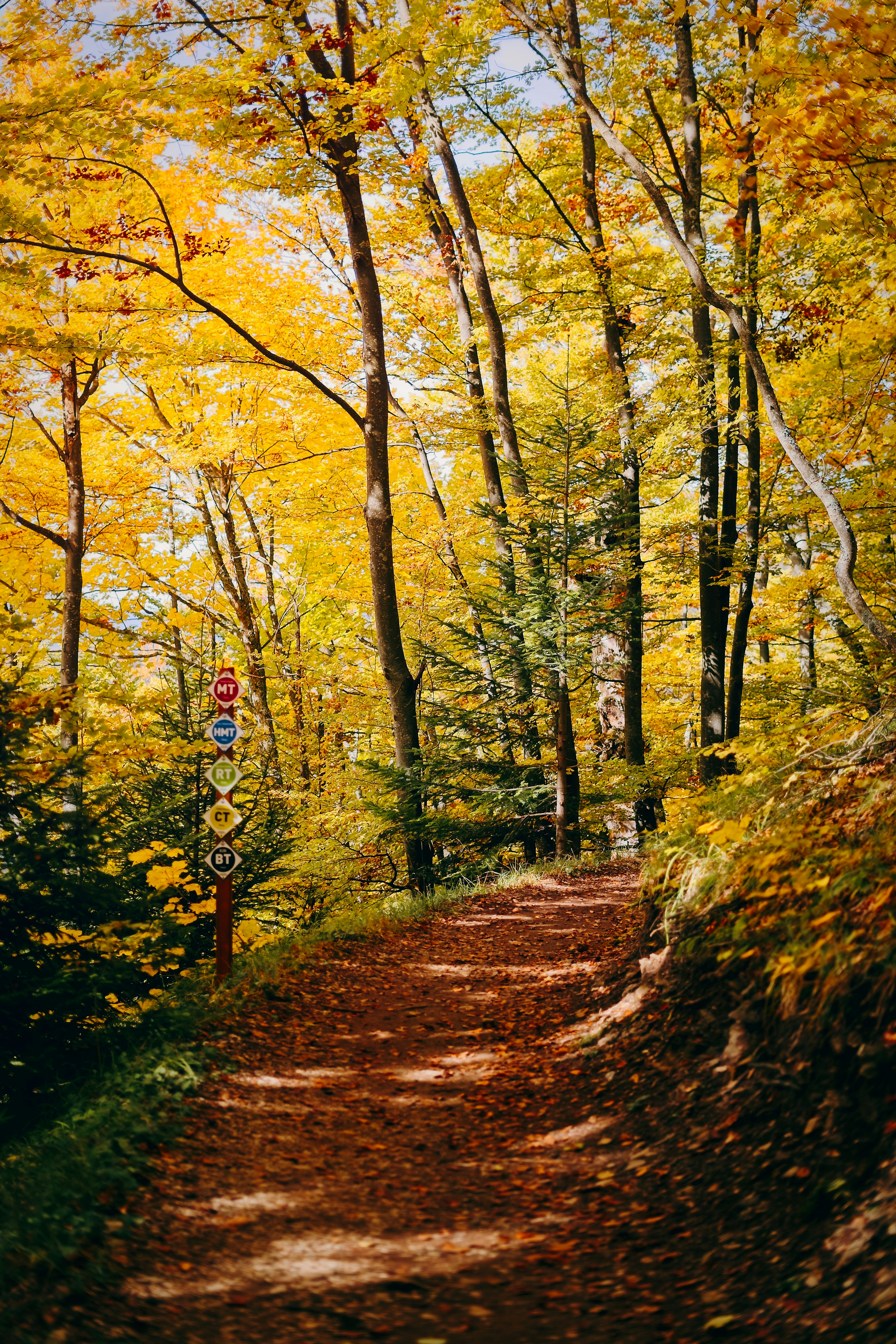 Photo by nedimshoots