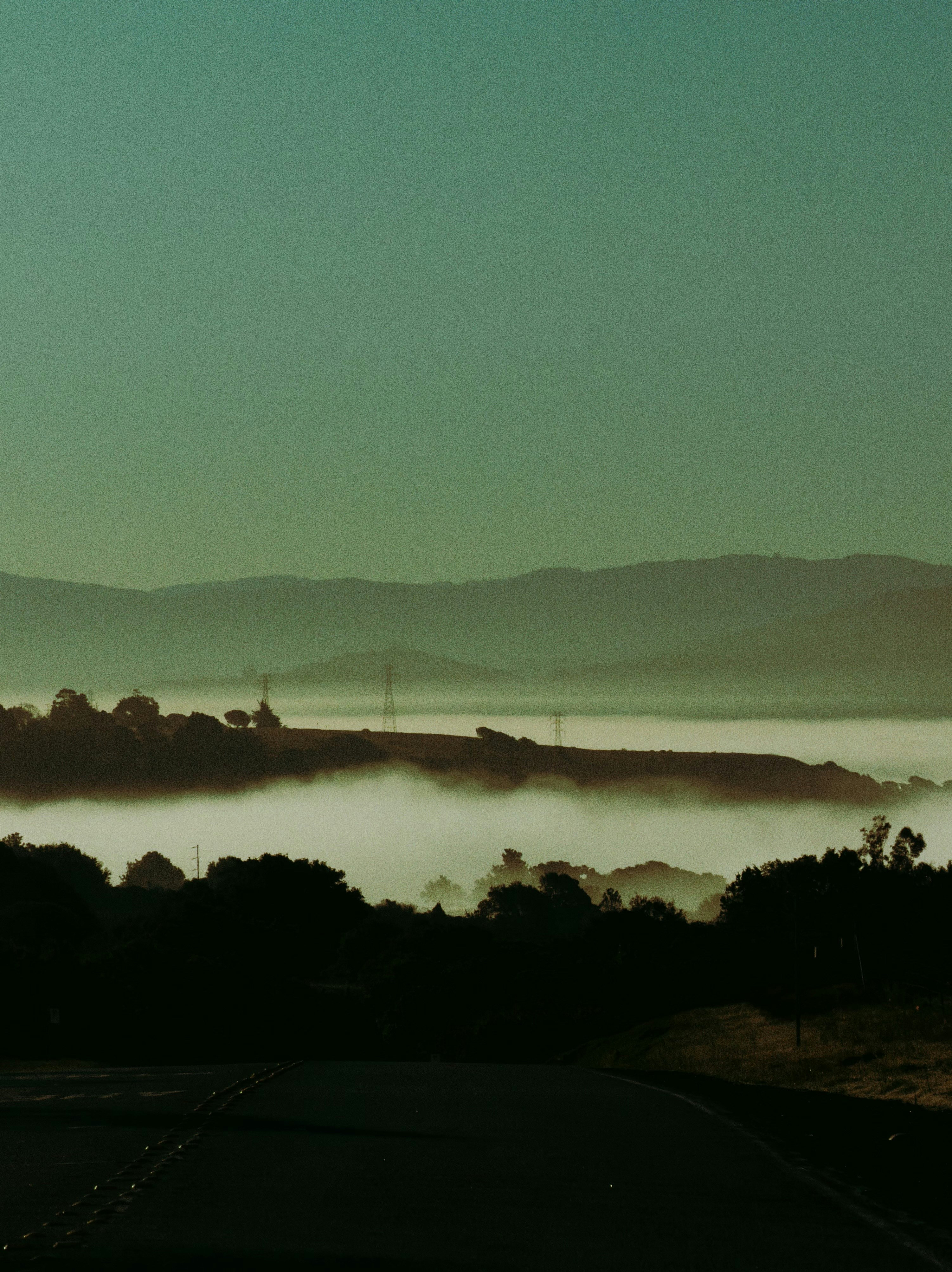 Misty rolling hills at sunrise with silhouetted trees.