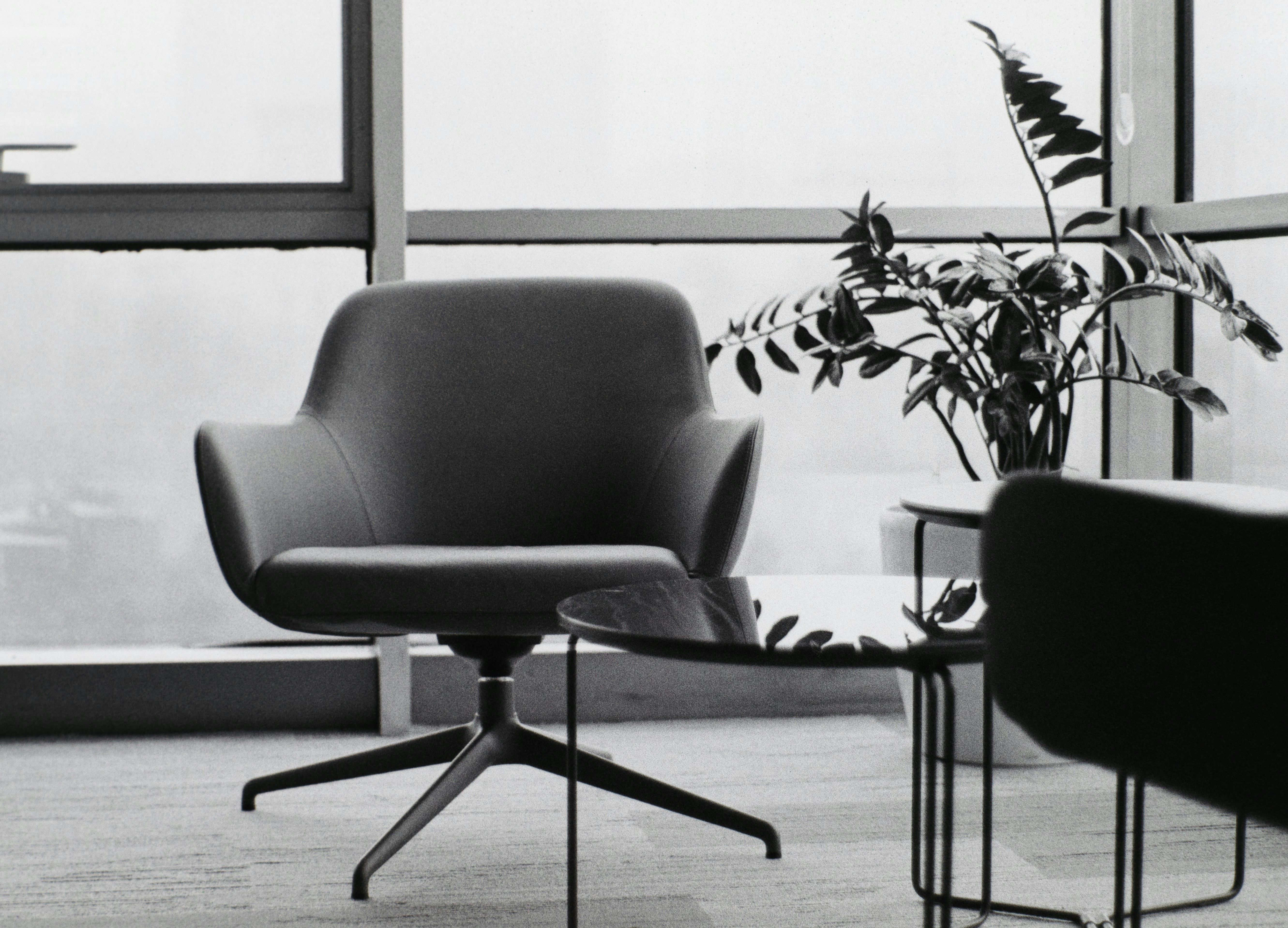 Photo by ragnarbeaverson