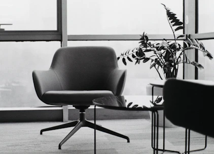 Modern armchair and plant by a large window