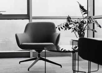 Modern armchair and plant by a large window