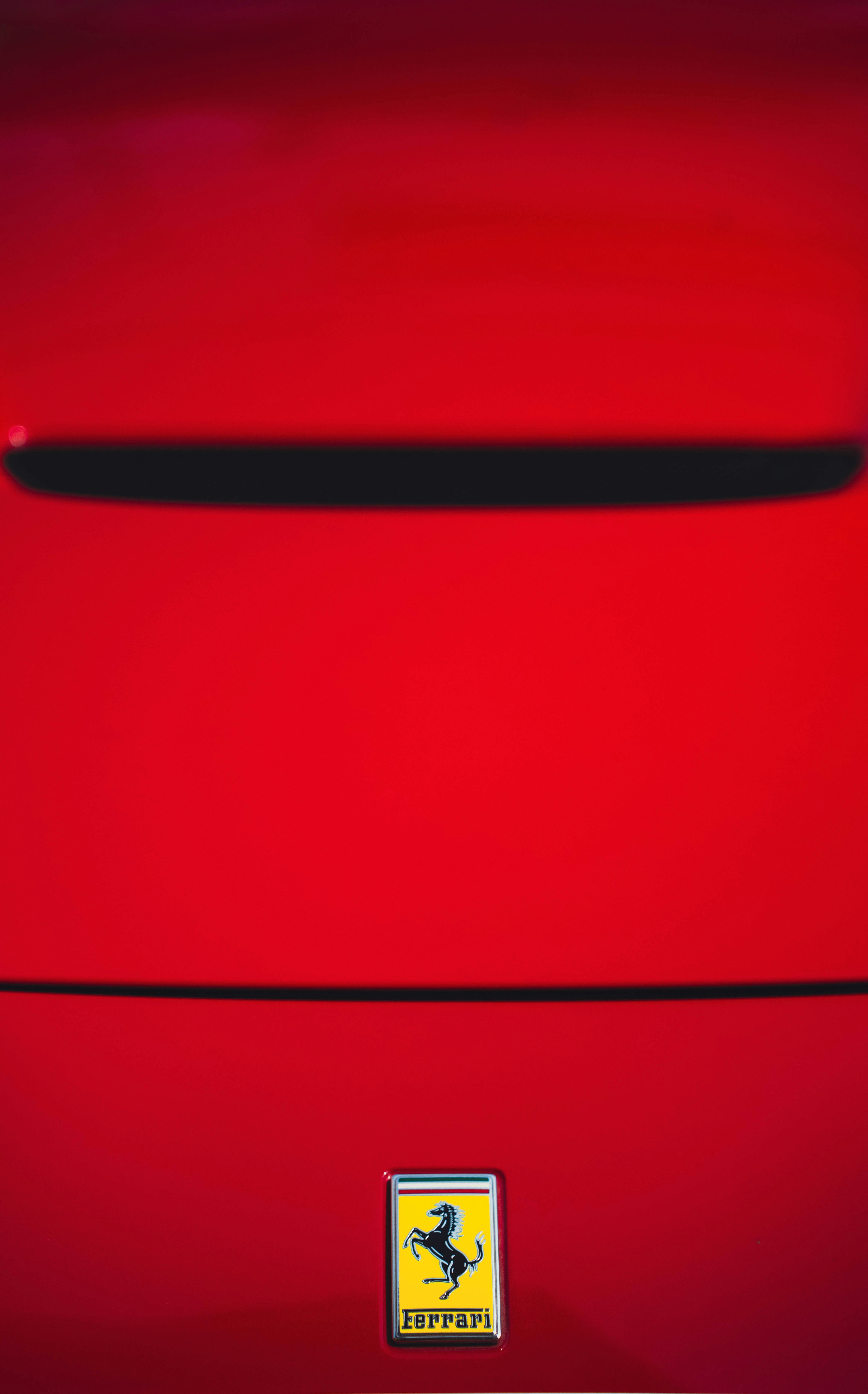 Photo by blibityblabity