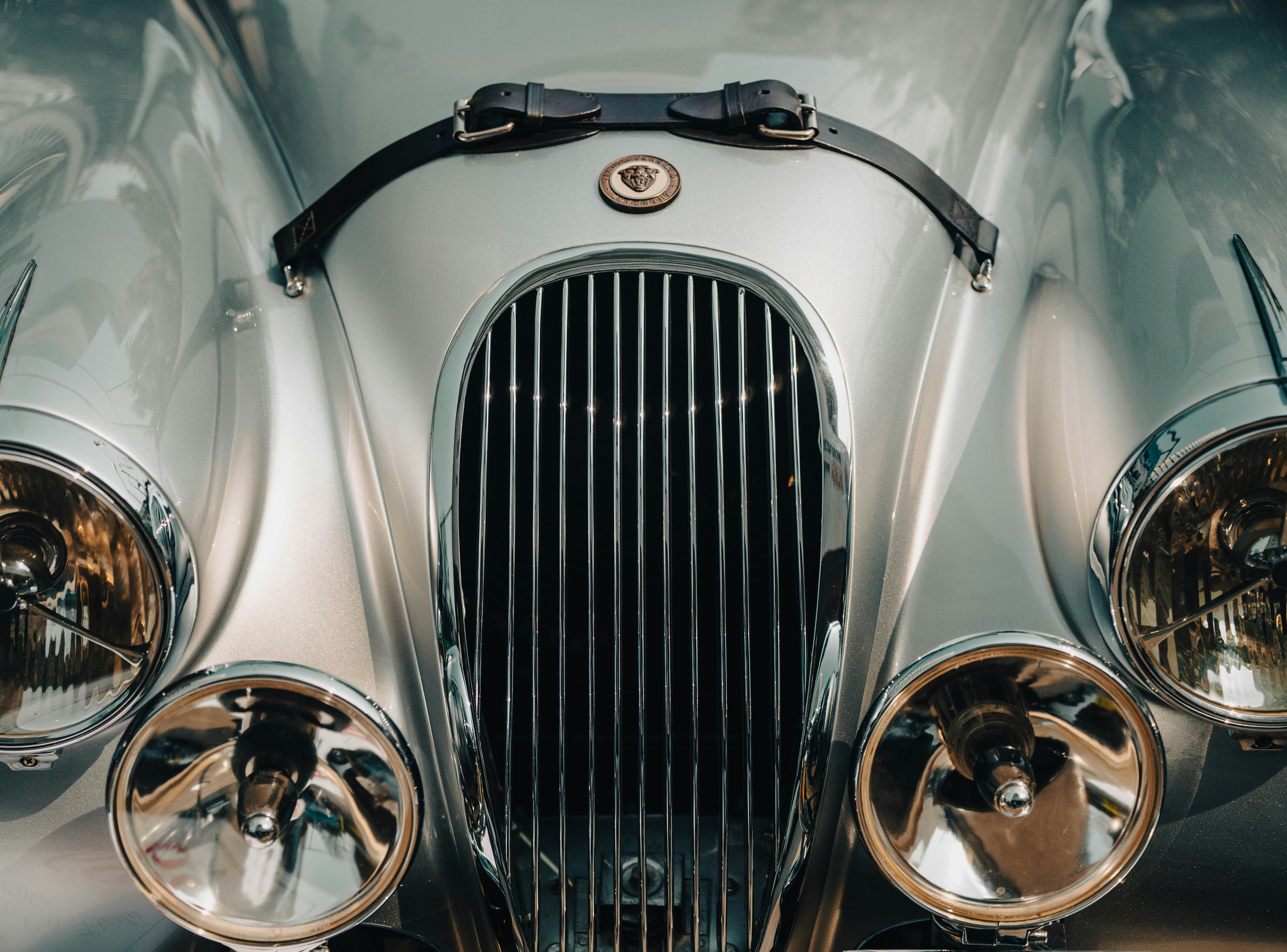 Photo by blibityblabity