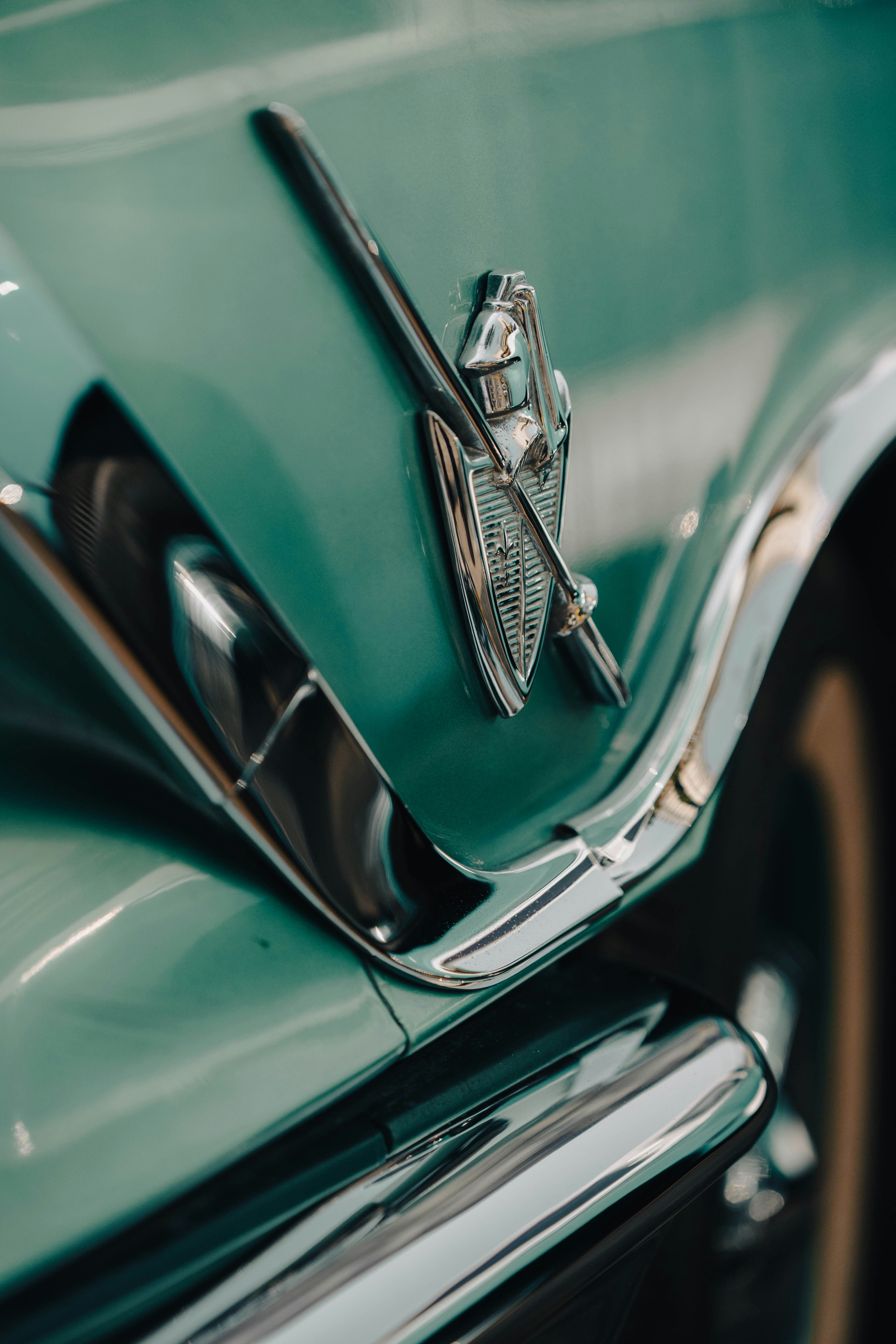 Photo by blibityblabity